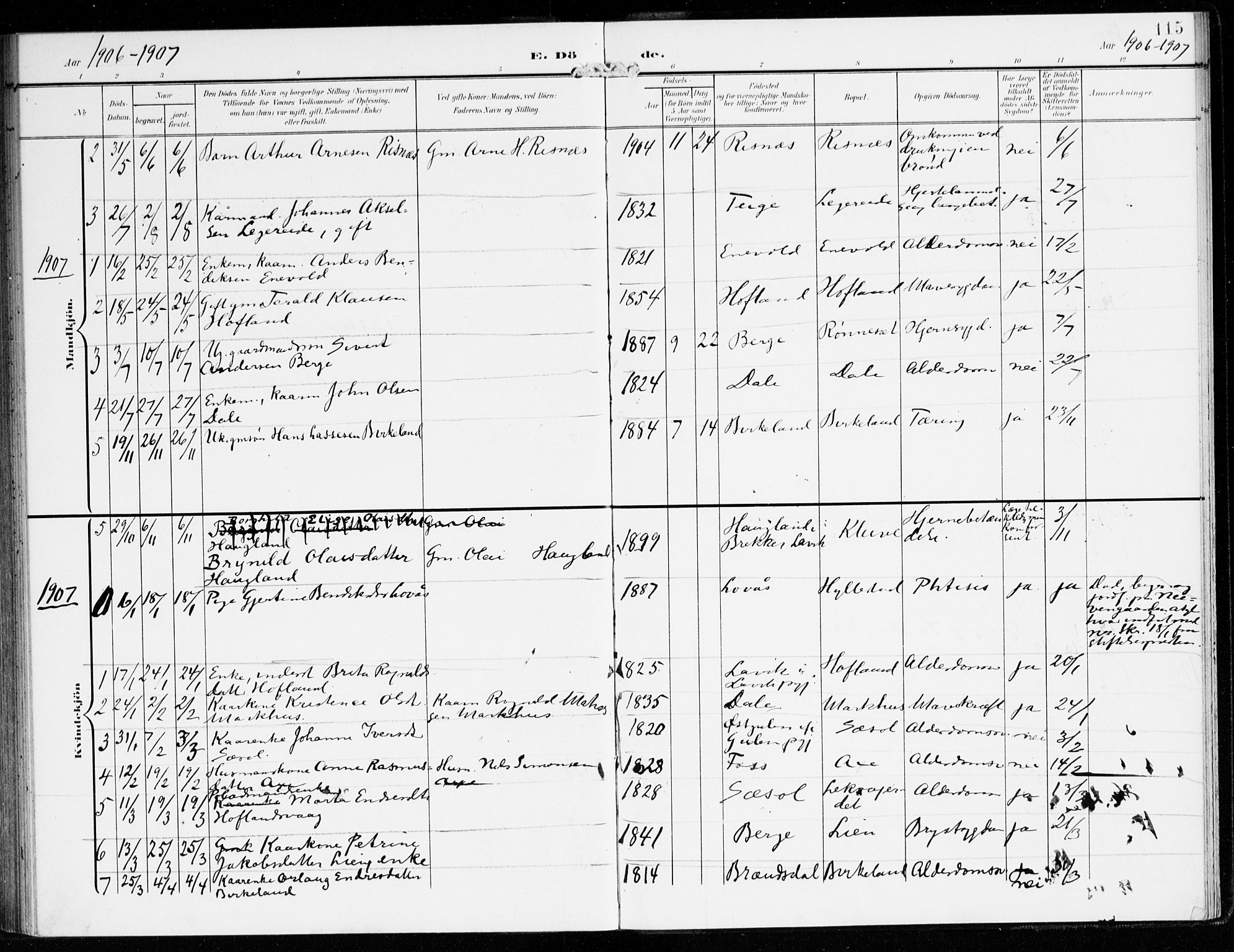 Hyllestad sokneprestembete, SAB/A-80401: Parish register (official) no. B 2, 1903-1917, p. 115