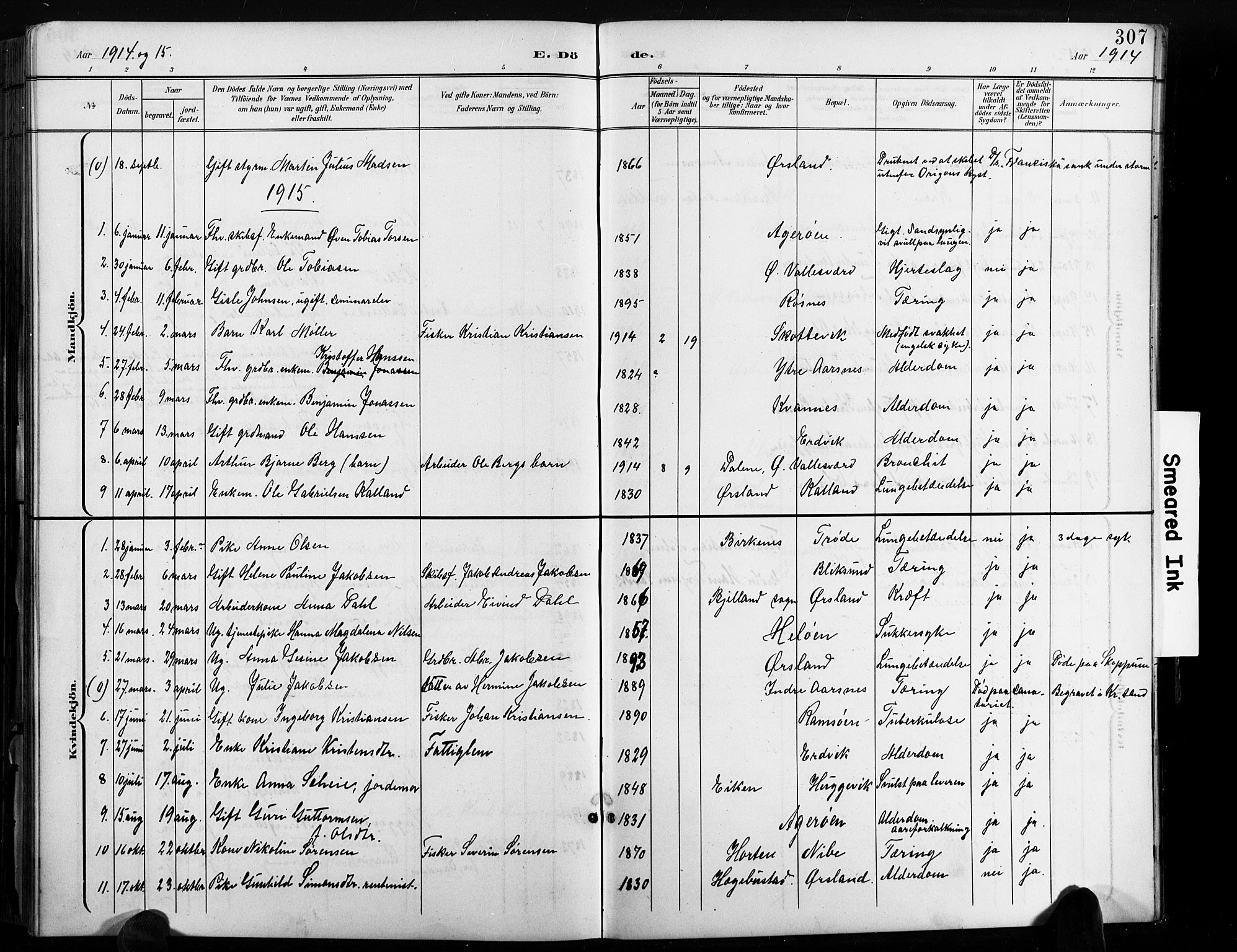 Høvåg sokneprestkontor, AV/SAK-1111-0025/F/Fb/L0005: Parish register (copy) no. B 5, 1898-1929, p. 307