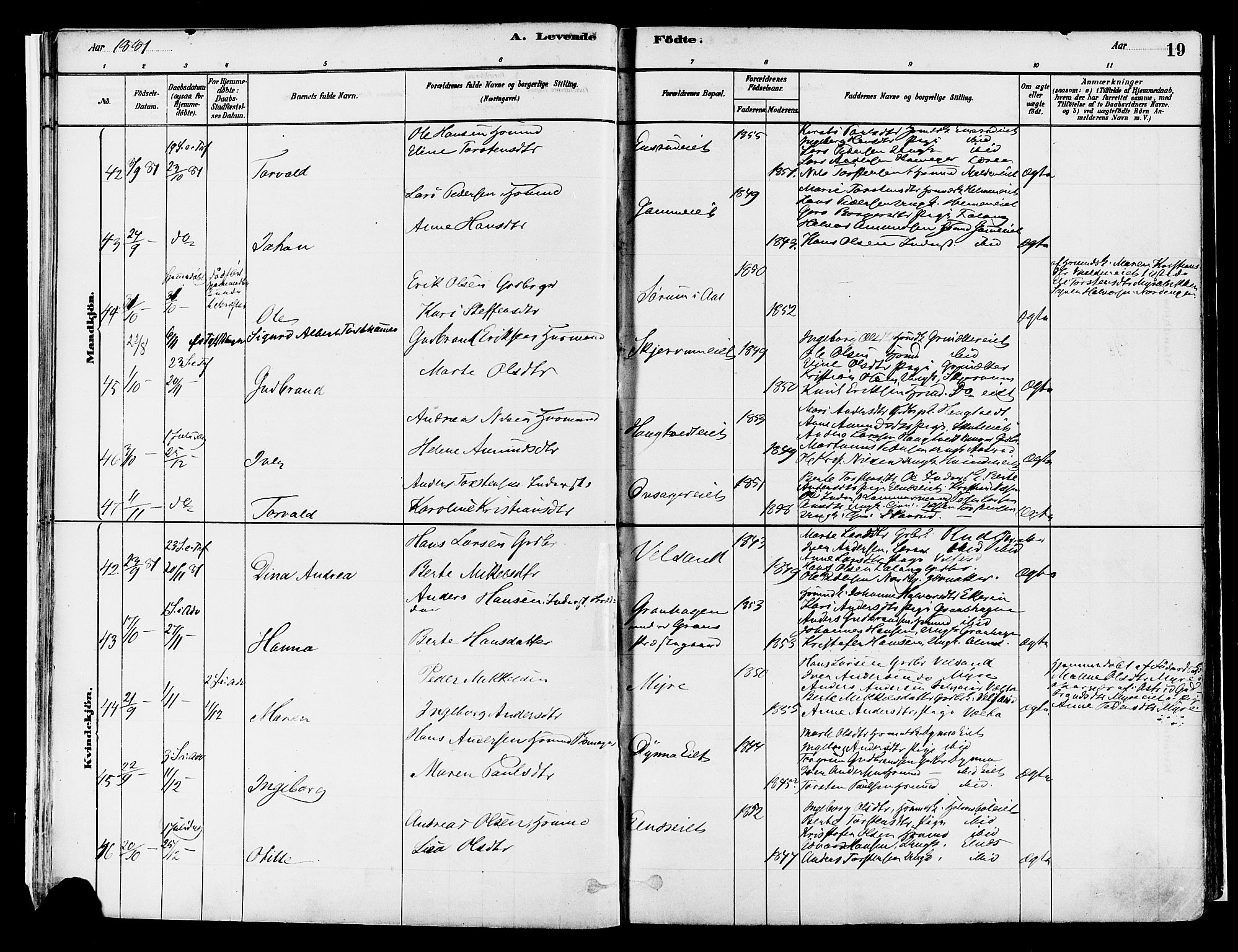 Gran prestekontor, AV/SAH-PREST-112/H/Ha/Haa/L0014: Parish register (official) no. 14, 1880-1889, p. 19