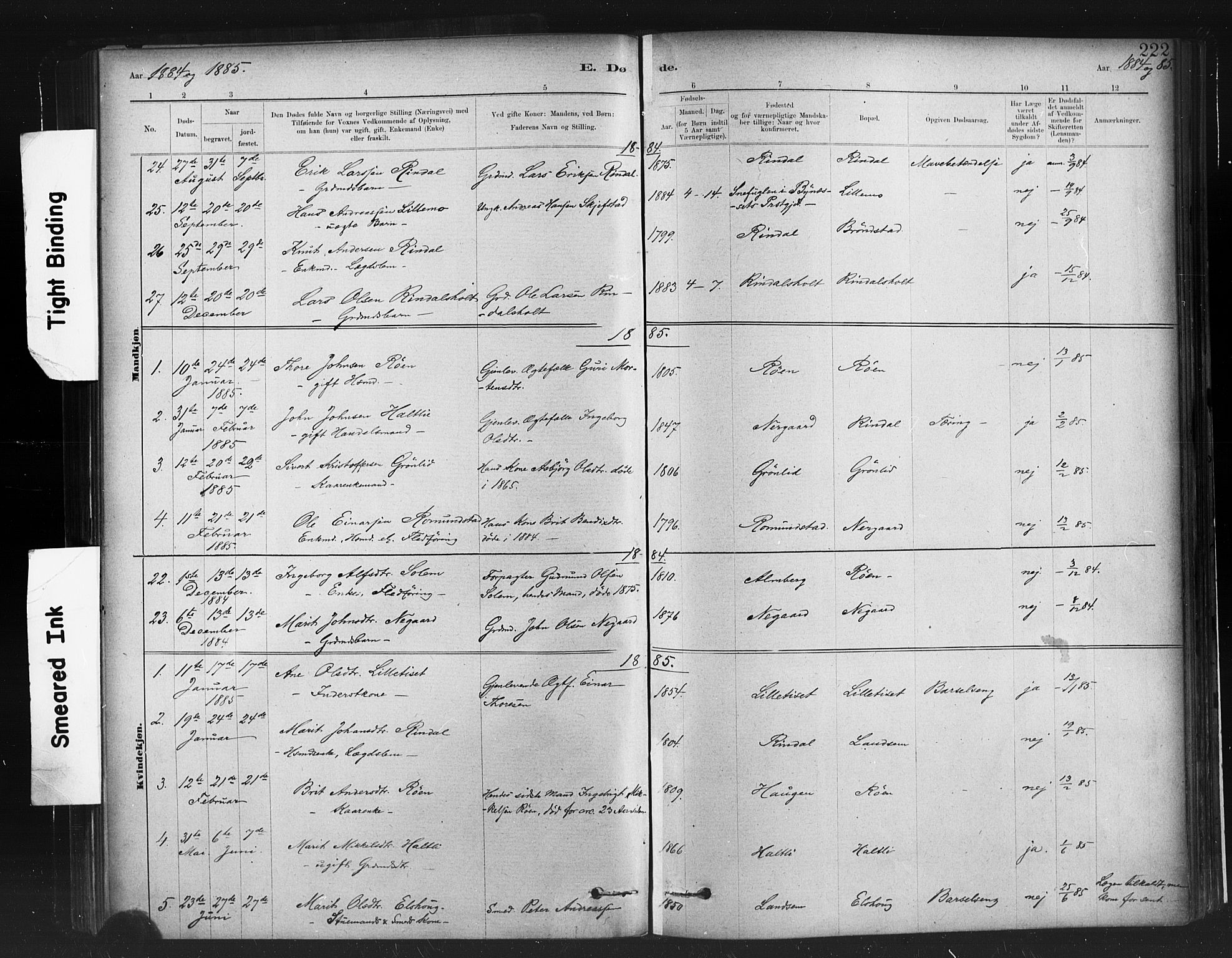 Ministerialprotokoller, klokkerbøker og fødselsregistre - Møre og Romsdal, AV/SAT-A-1454/598/L1069: Parish register (official) no. 598A03, 1882-1895, p. 222