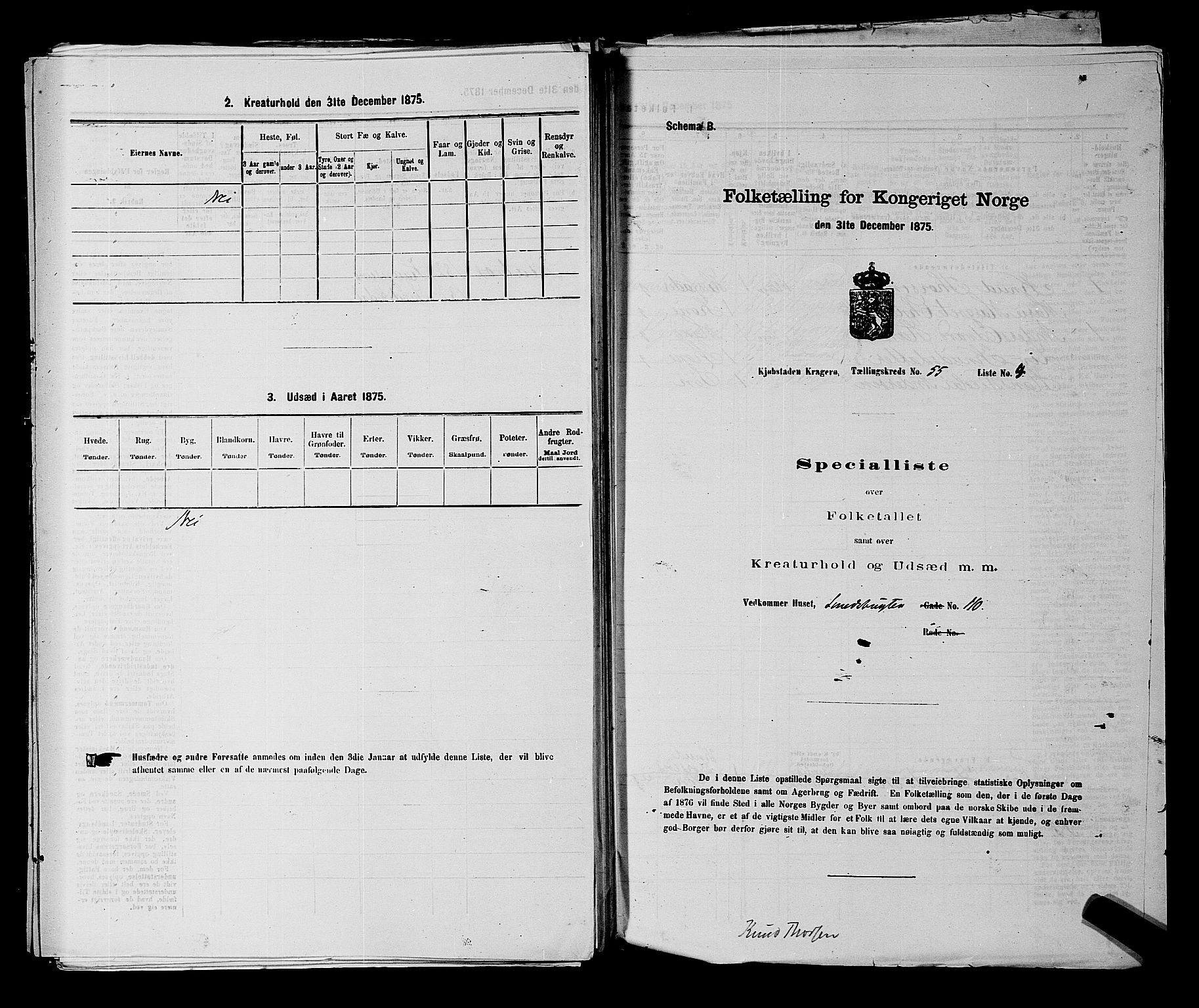 SAKO, 1875 census for 0801P Kragerø, 1875, p. 1215