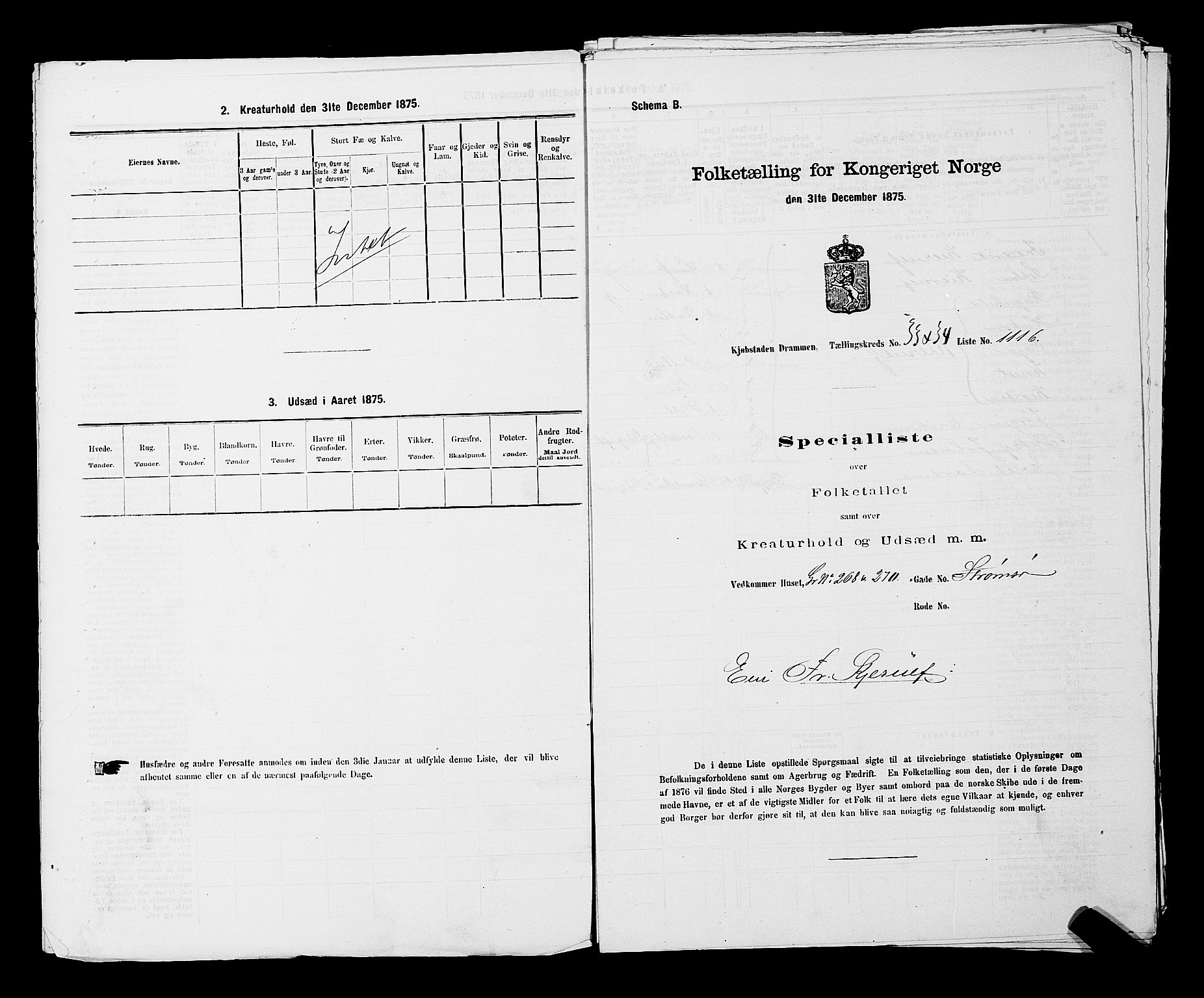 SAKO, 1875 census for 0602 Drammen, 1875, p. 2961