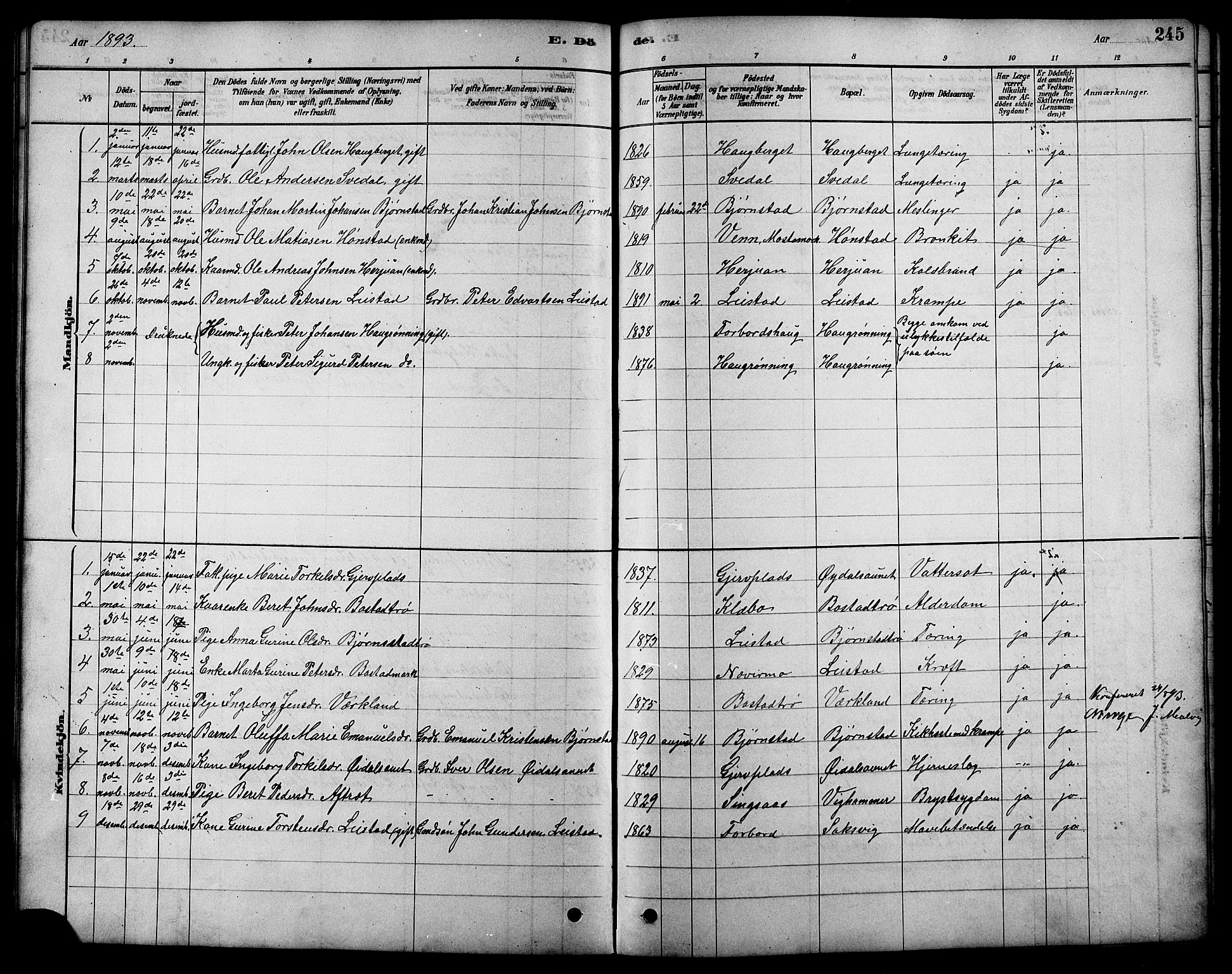 Ministerialprotokoller, klokkerbøker og fødselsregistre - Sør-Trøndelag, SAT/A-1456/616/L0423: Parish register (copy) no. 616C06, 1878-1903, p. 245