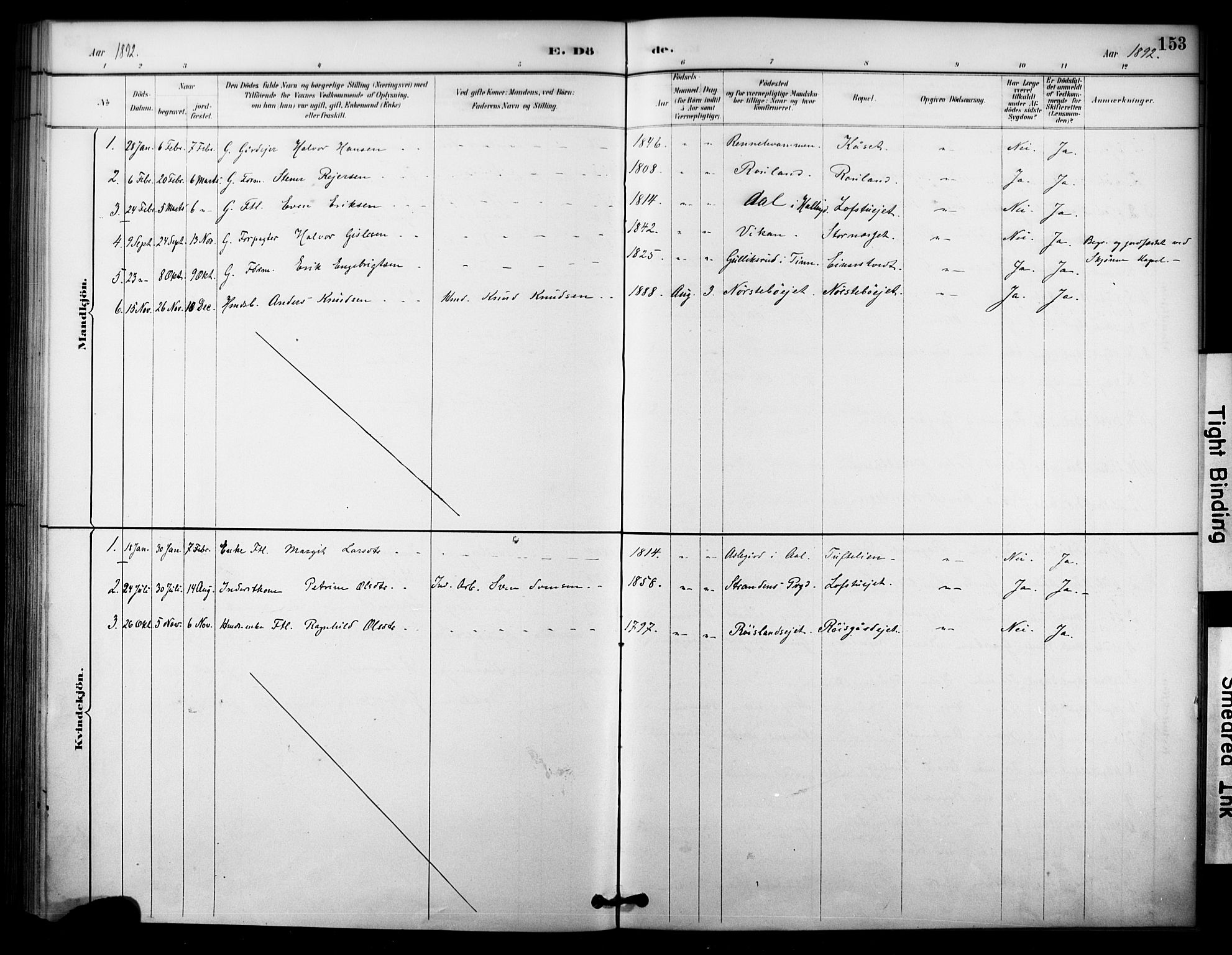 Nore kirkebøker, AV/SAKO-A-238/F/Fc/L0004: Parish register (official) no. III 4, 1885-1898, p. 153