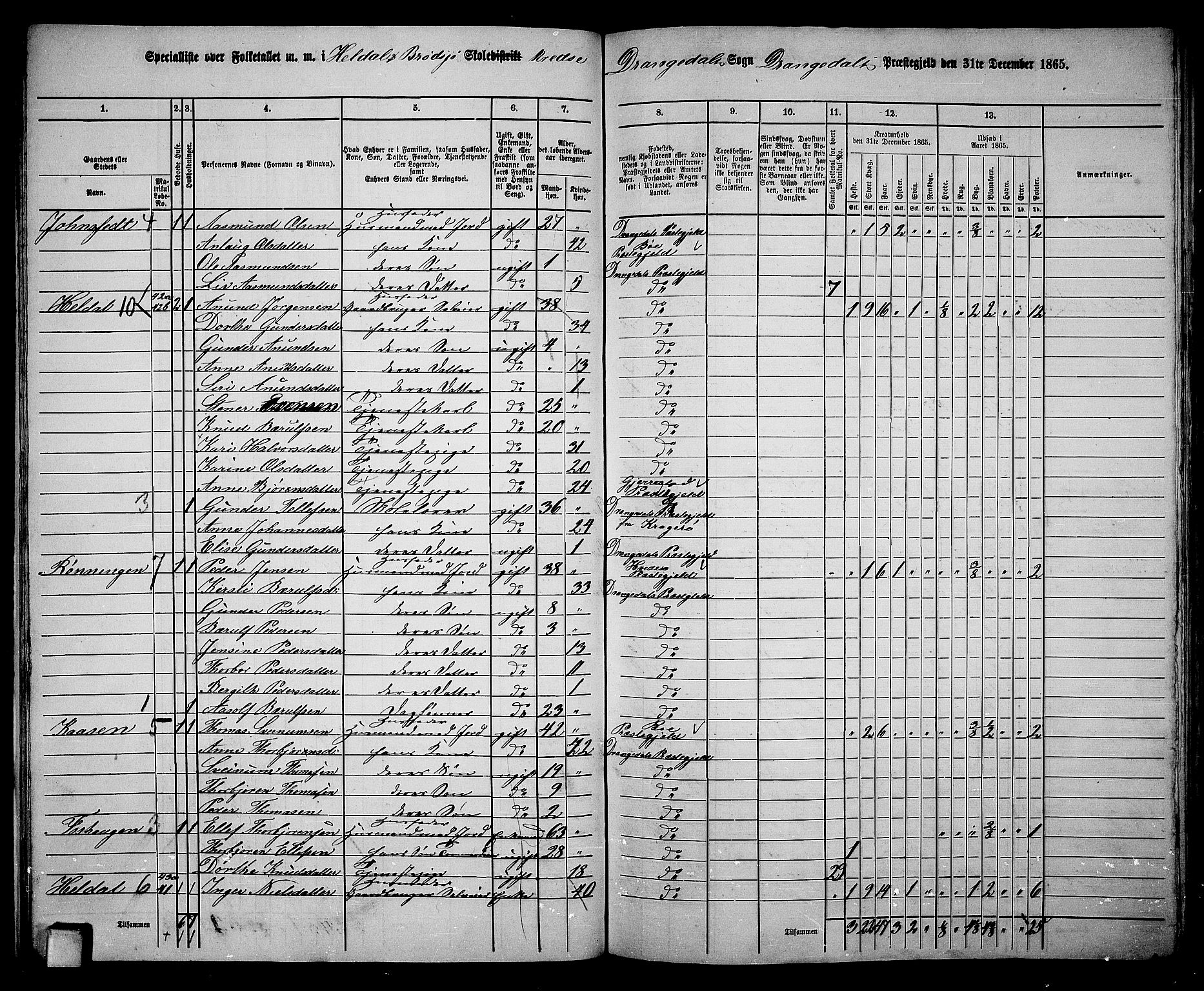 RA, 1865 census for Drangedal, 1865, p. 22