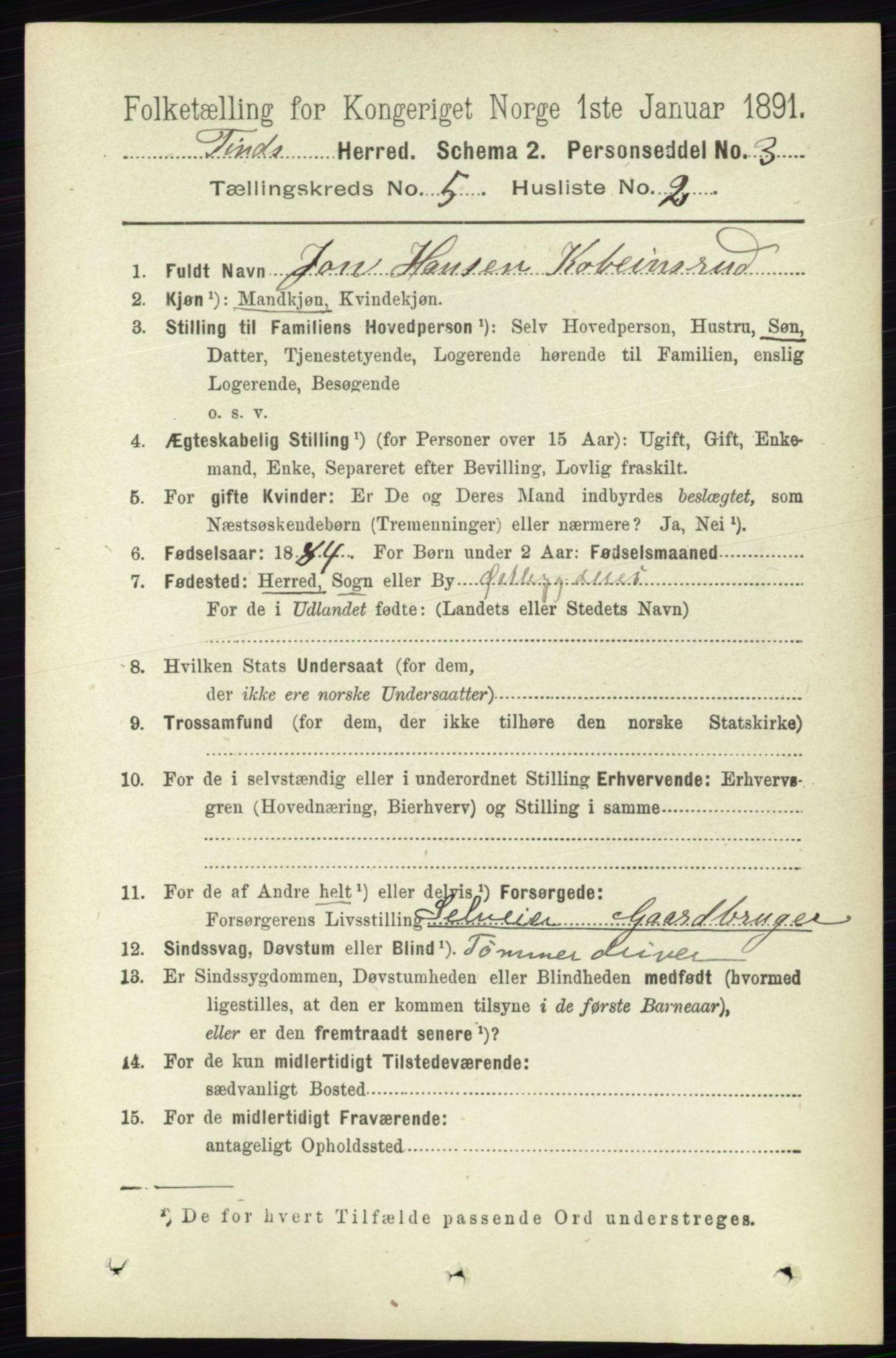 RA, 1891 census for 0826 Tinn, 1891, p. 1007