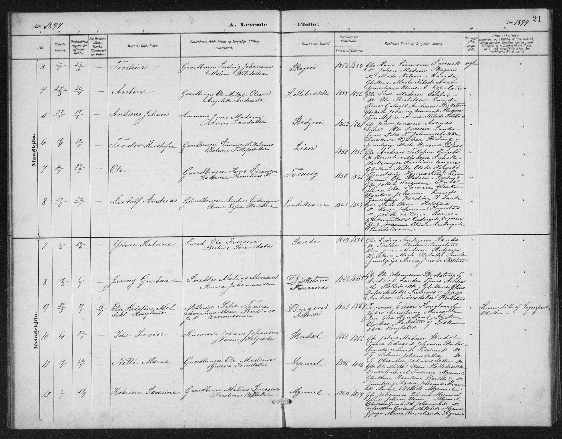 Gaular sokneprestembete, SAB/A-80001/H/Hab: Parish register (copy) no. A 4, 1889-1912, p. 21