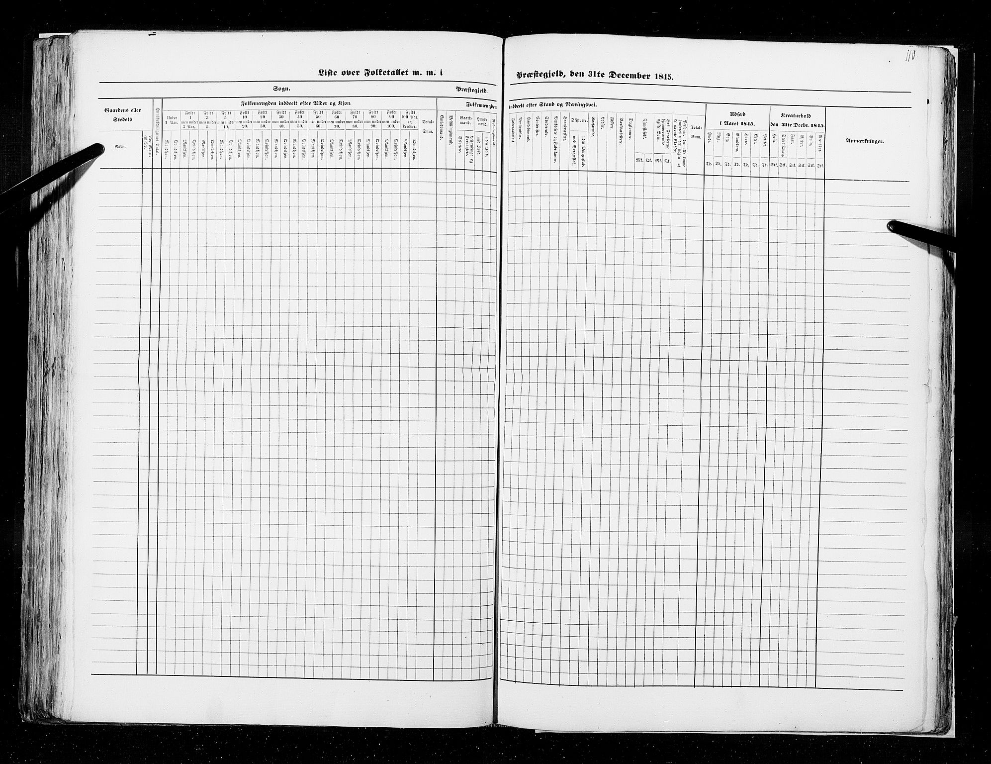 RA, Census 1845, vol. 9A: Nordre Trondhjems amt, 1845, p. 110