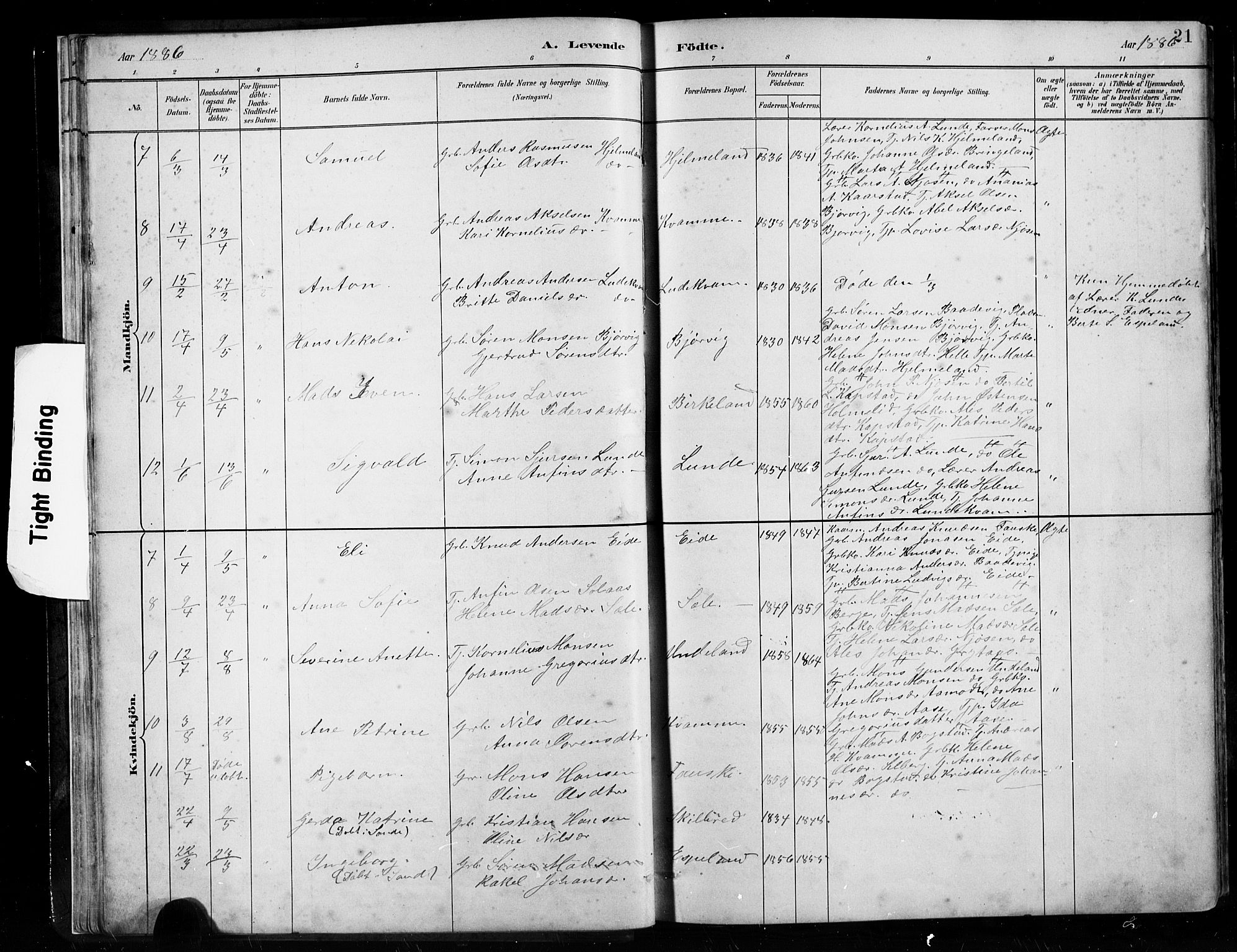 Gaular sokneprestembete, AV/SAB-A-80001/H/Hab: Parish register (copy) no. B 3, 1882-1913, p. 21