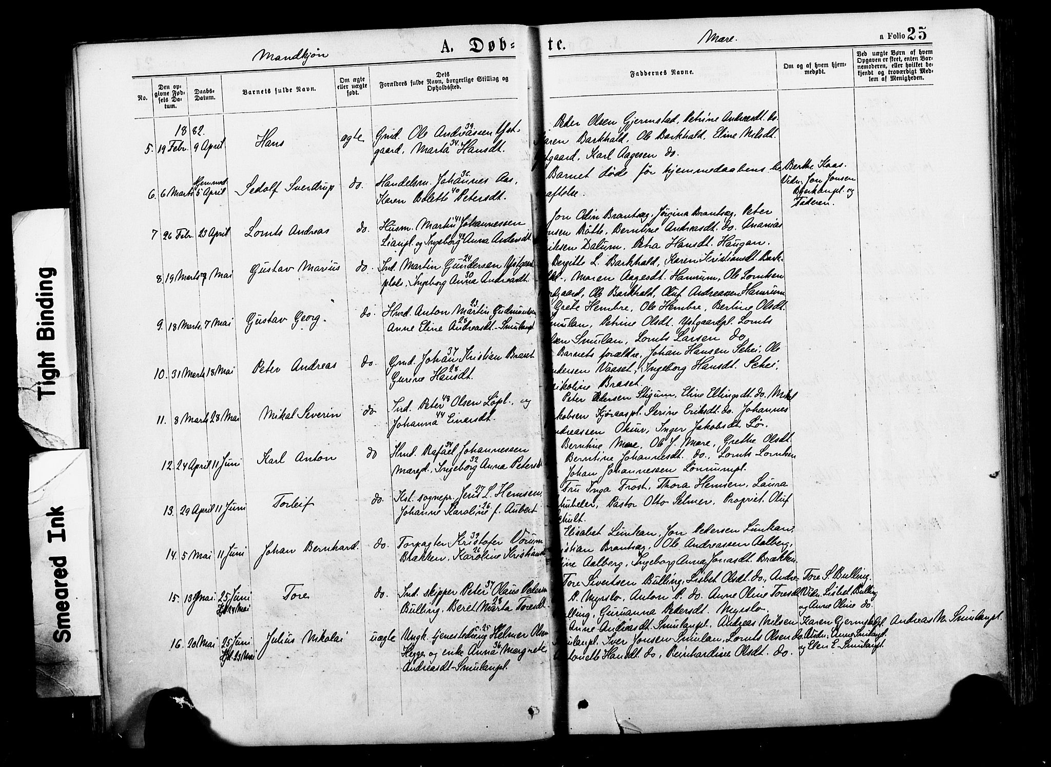 Ministerialprotokoller, klokkerbøker og fødselsregistre - Nord-Trøndelag, SAT/A-1458/735/L0348: Parish register (official) no. 735A09 /1, 1873-1883, p. 25