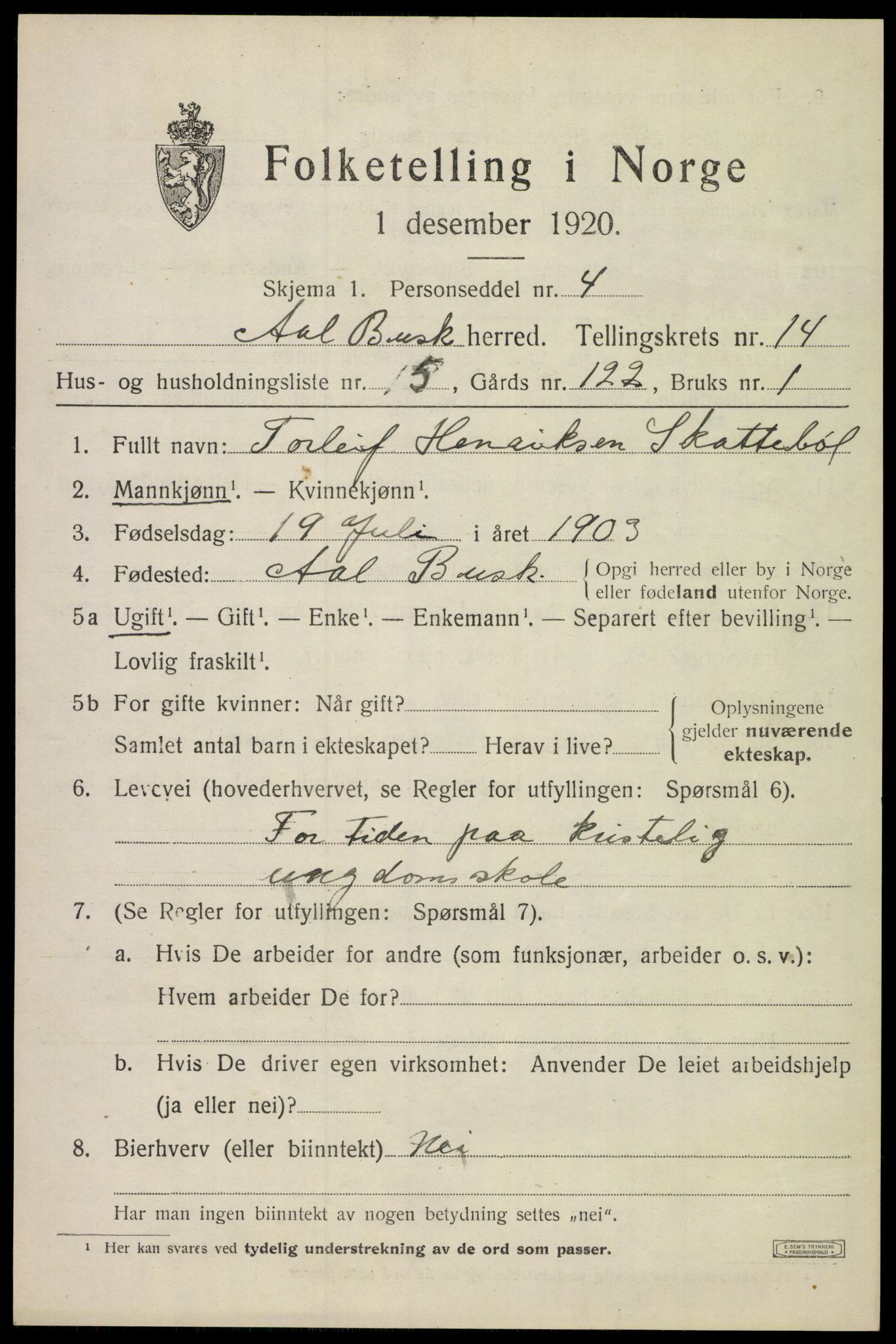 SAKO, 1920 census for Ål, 1920, p. 8130