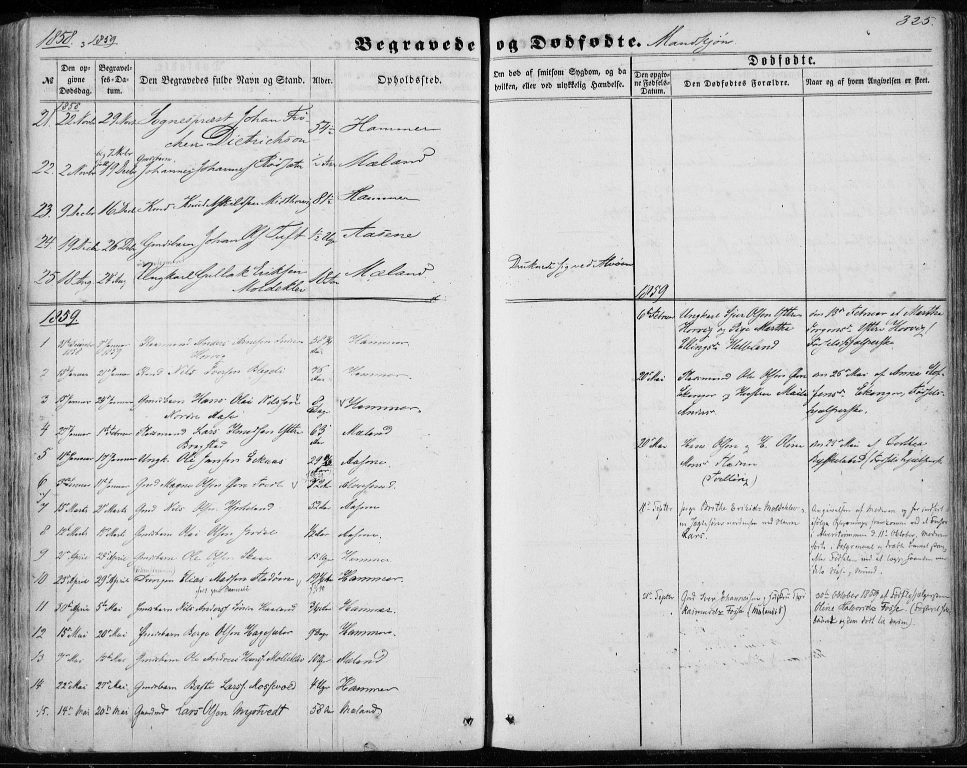 Hamre sokneprestembete, SAB/A-75501/H/Ha/Haa/Haaa/L0014: Parish register (official) no. A 14, 1858-1872, p. 325