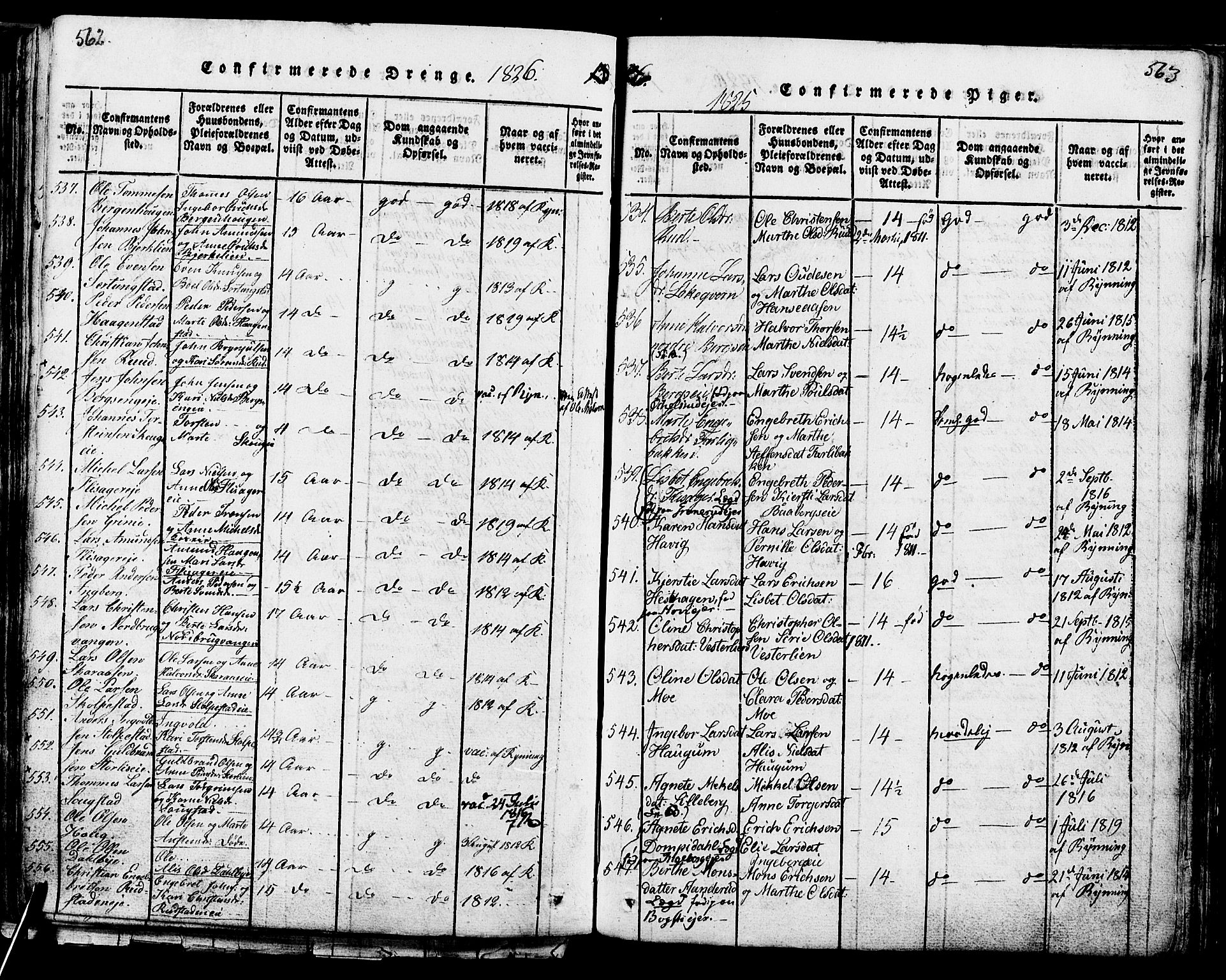 Ringsaker prestekontor, AV/SAH-PREST-014/K/Ka/L0005: Parish register (official) no. 5, 1814-1826, p. 562-563