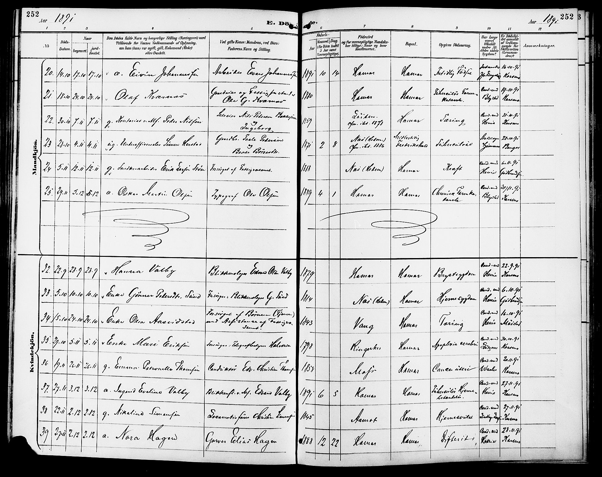 Vang prestekontor, Hedmark, AV/SAH-PREST-008/H/Ha/Haa/L0017: Parish register (official) no. 17, 1890-1899, p. 252