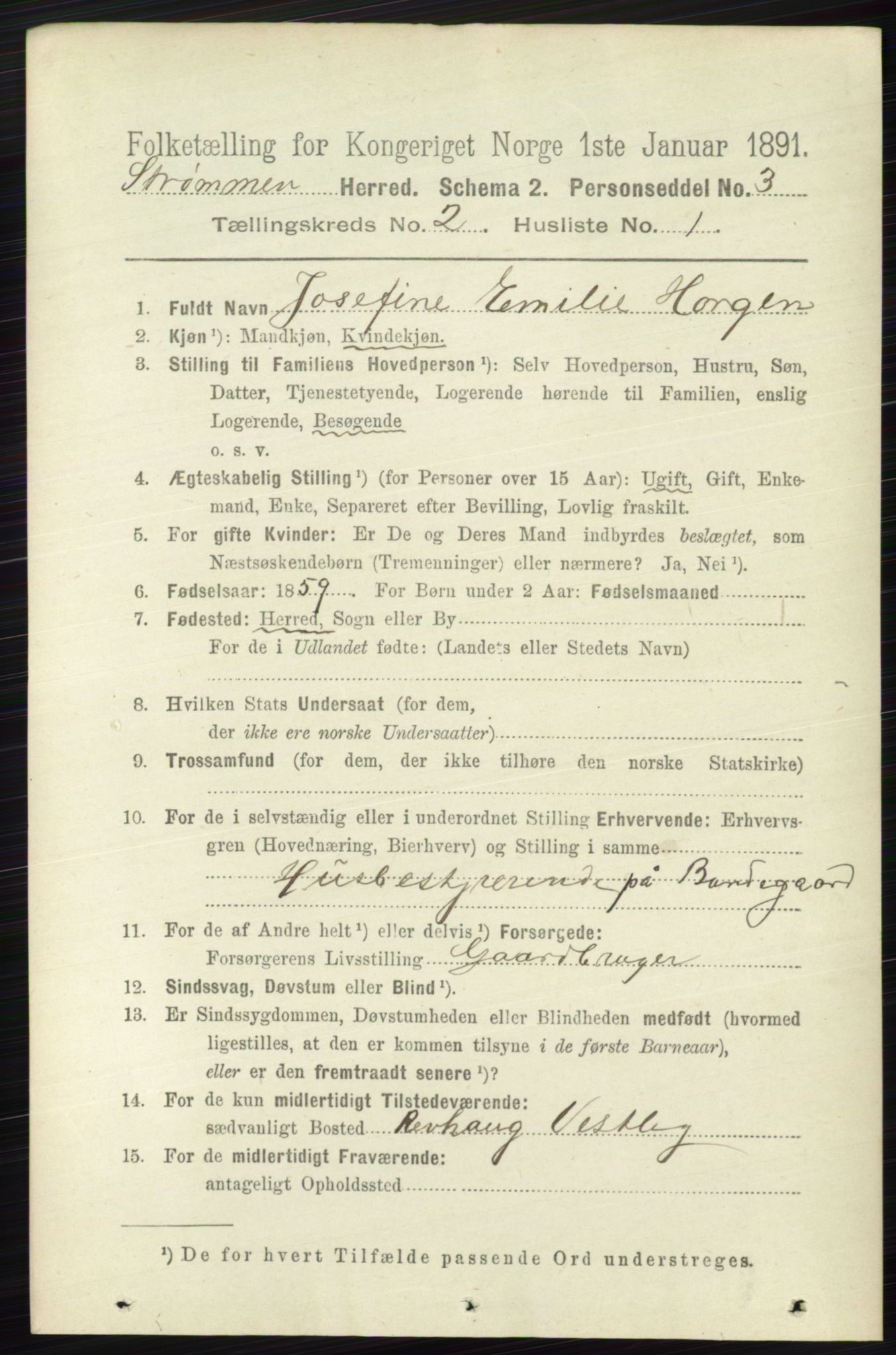 RA, 1891 census for 0711 Strømm, 1891, p. 698