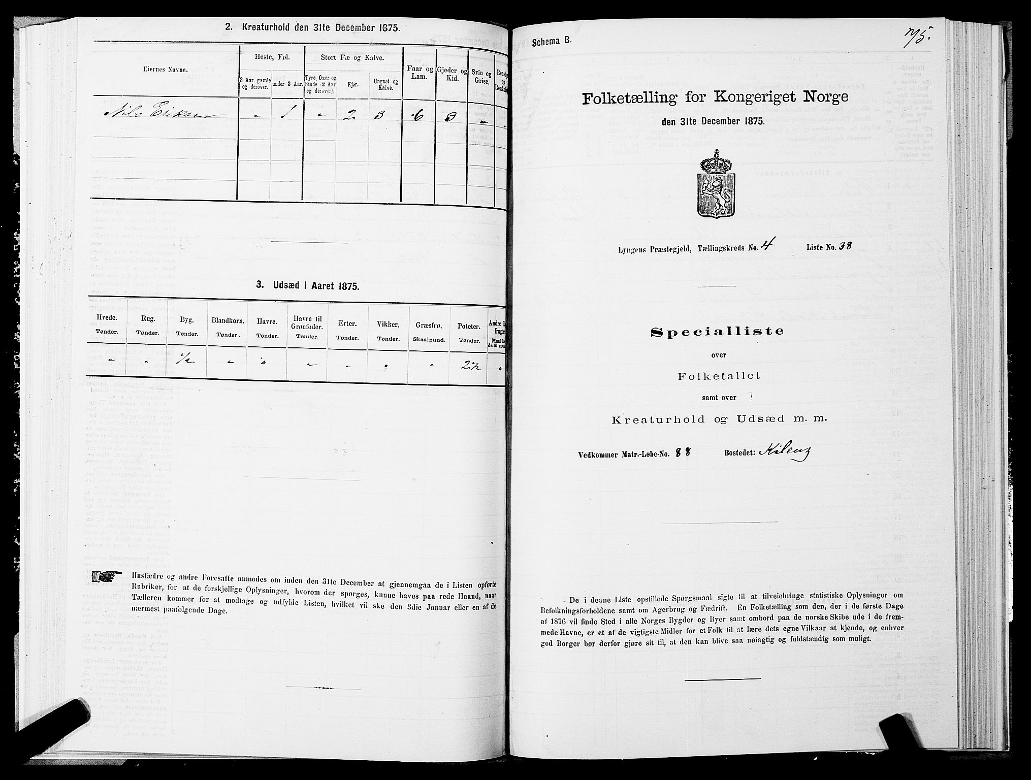 SATØ, 1875 census for 1938P Lyngen, 1875, p. 4075