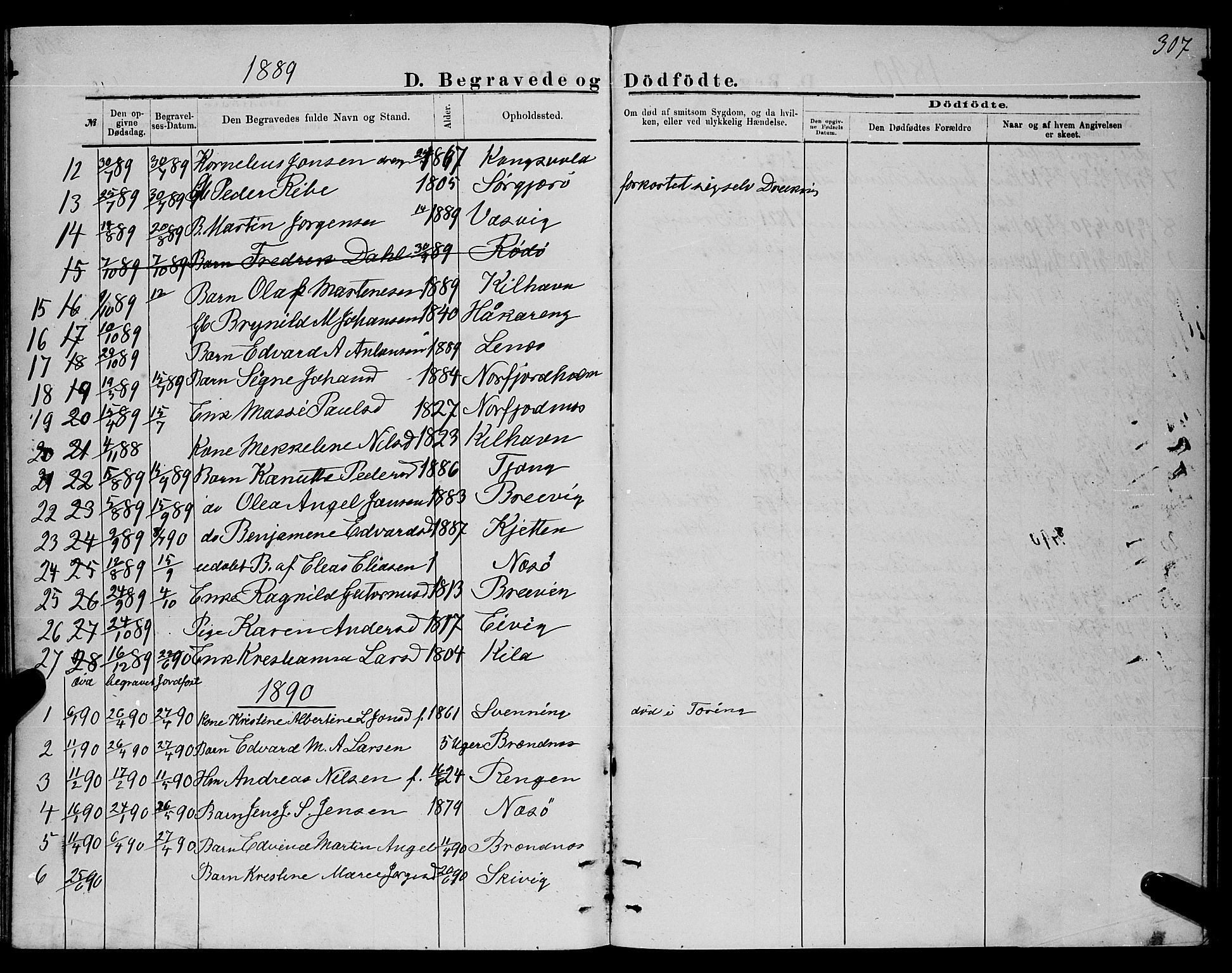 Ministerialprotokoller, klokkerbøker og fødselsregistre - Nordland, AV/SAT-A-1459/841/L0620: Parish register (copy) no. 841C04, 1877-1896, p. 307