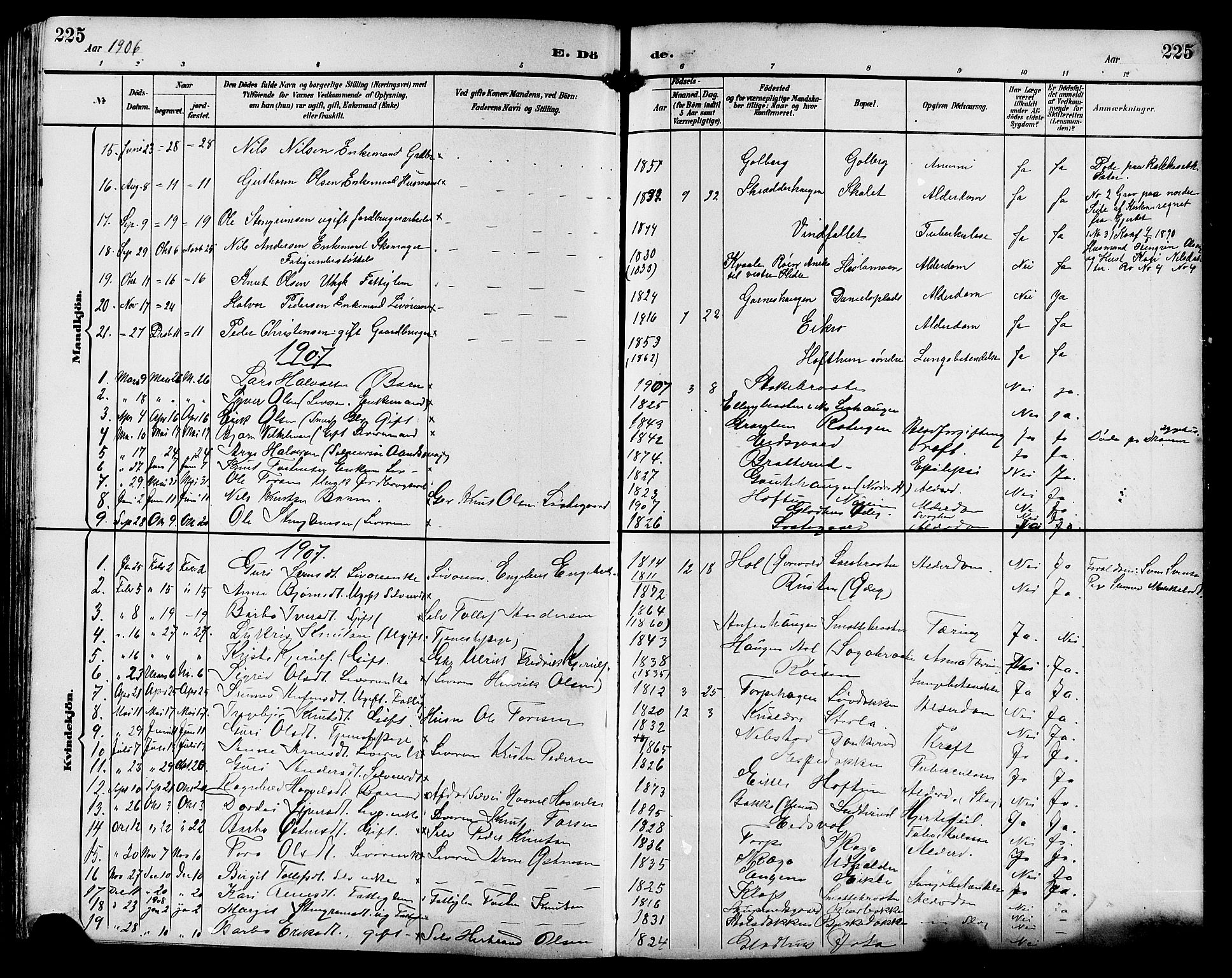 Gol kirkebøker, SAKO/A-226/G/Ga/L0003: Parish register (copy) no. I 3, 1887-1914, p. 225