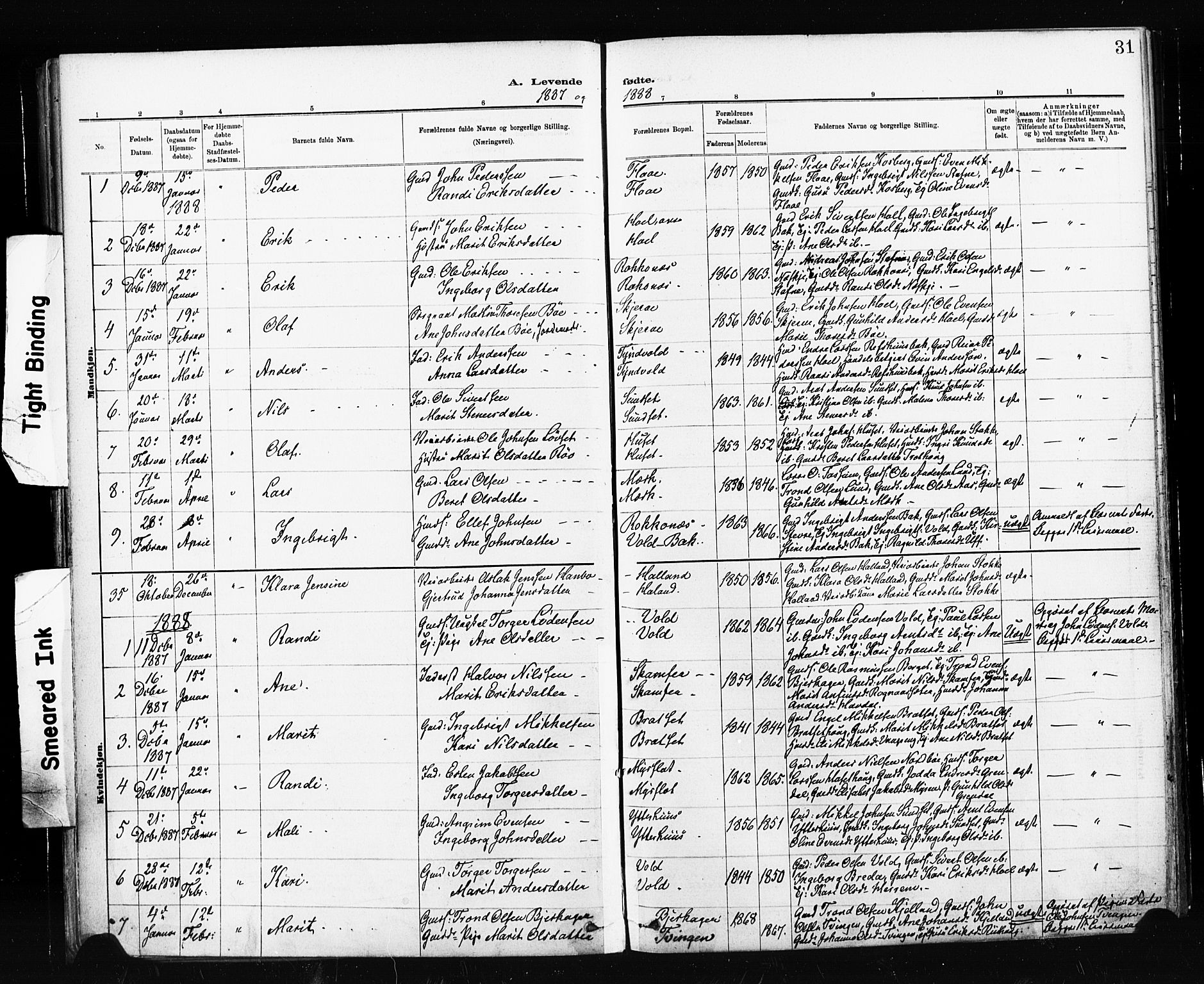 Ministerialprotokoller, klokkerbøker og fødselsregistre - Sør-Trøndelag, SAT/A-1456/674/L0871: Parish register (official) no. 674A03, 1880-1896, p. 31