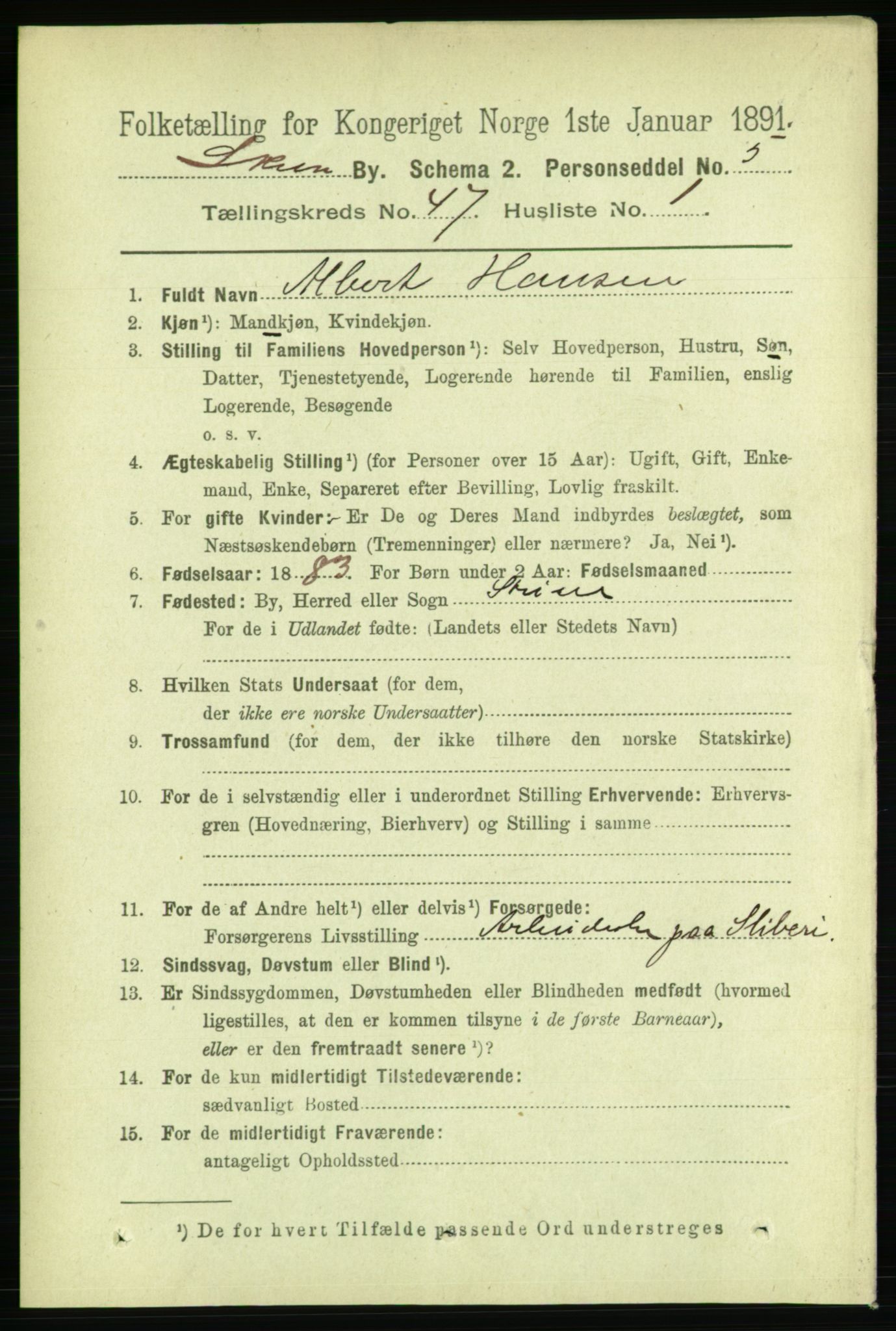 RA, 1891 census for 0806 Skien, 1891, p. 9210