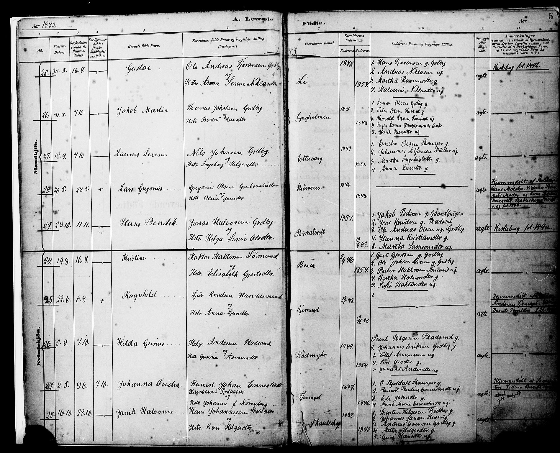 Sveio Sokneprestembete, AV/SAB-A-78501/H/Haa: Parish register (official) no. B 2, 1883-1894, p. 5