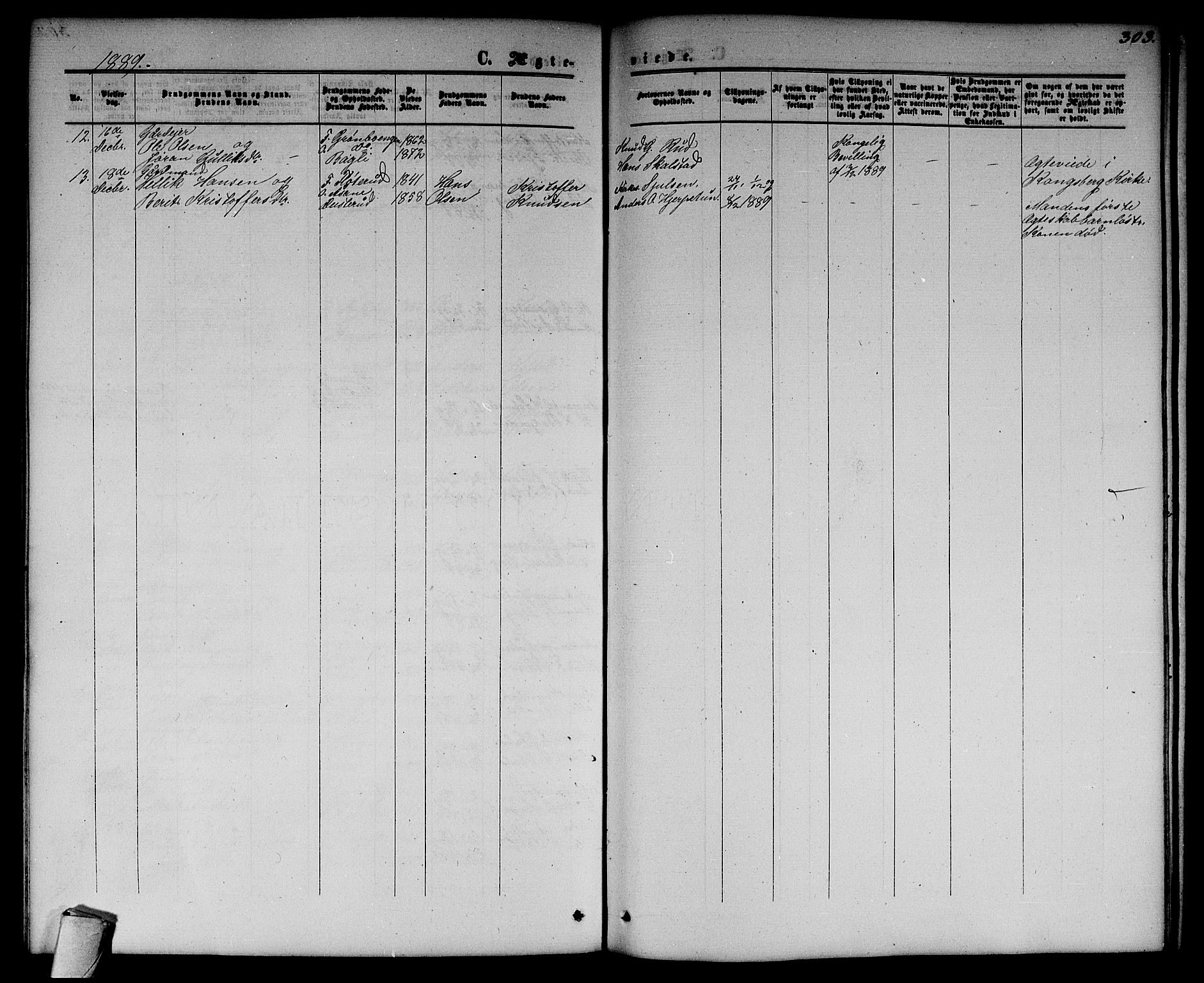 Flesberg kirkebøker, AV/SAKO-A-18/G/Ga/L0003: Parish register (copy) no. I 3, 1861-1889, p. 303