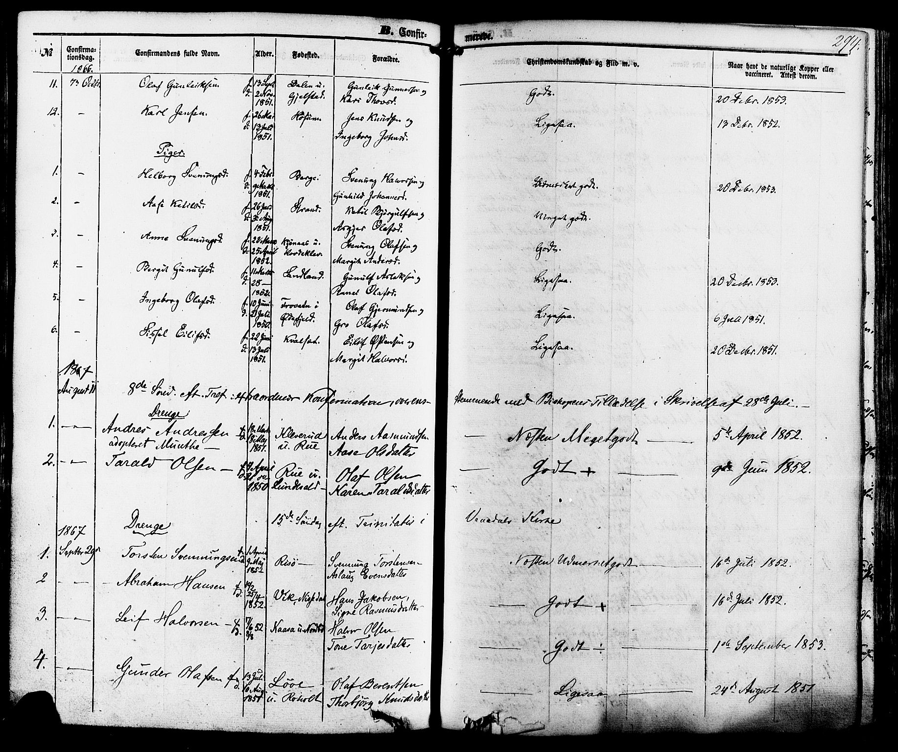 Kviteseid kirkebøker, SAKO/A-276/F/Fa/L0007: Parish register (official) no. I 7, 1859-1881, p. 294