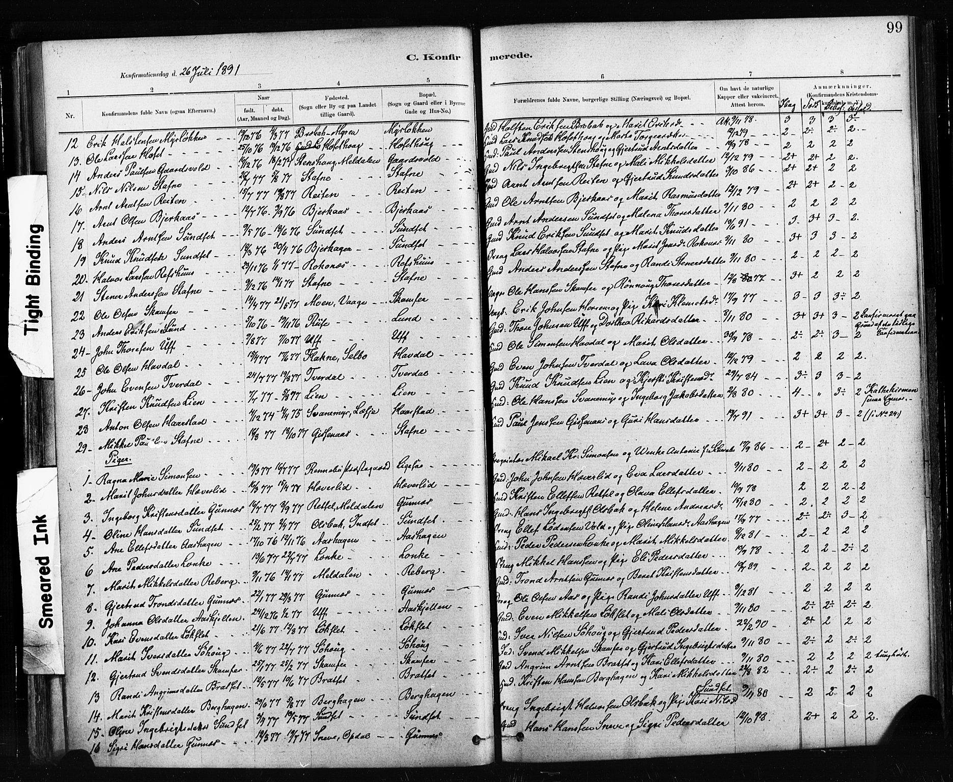 Ministerialprotokoller, klokkerbøker og fødselsregistre - Sør-Trøndelag, SAT/A-1456/674/L0871: Parish register (official) no. 674A03, 1880-1896, p. 99
