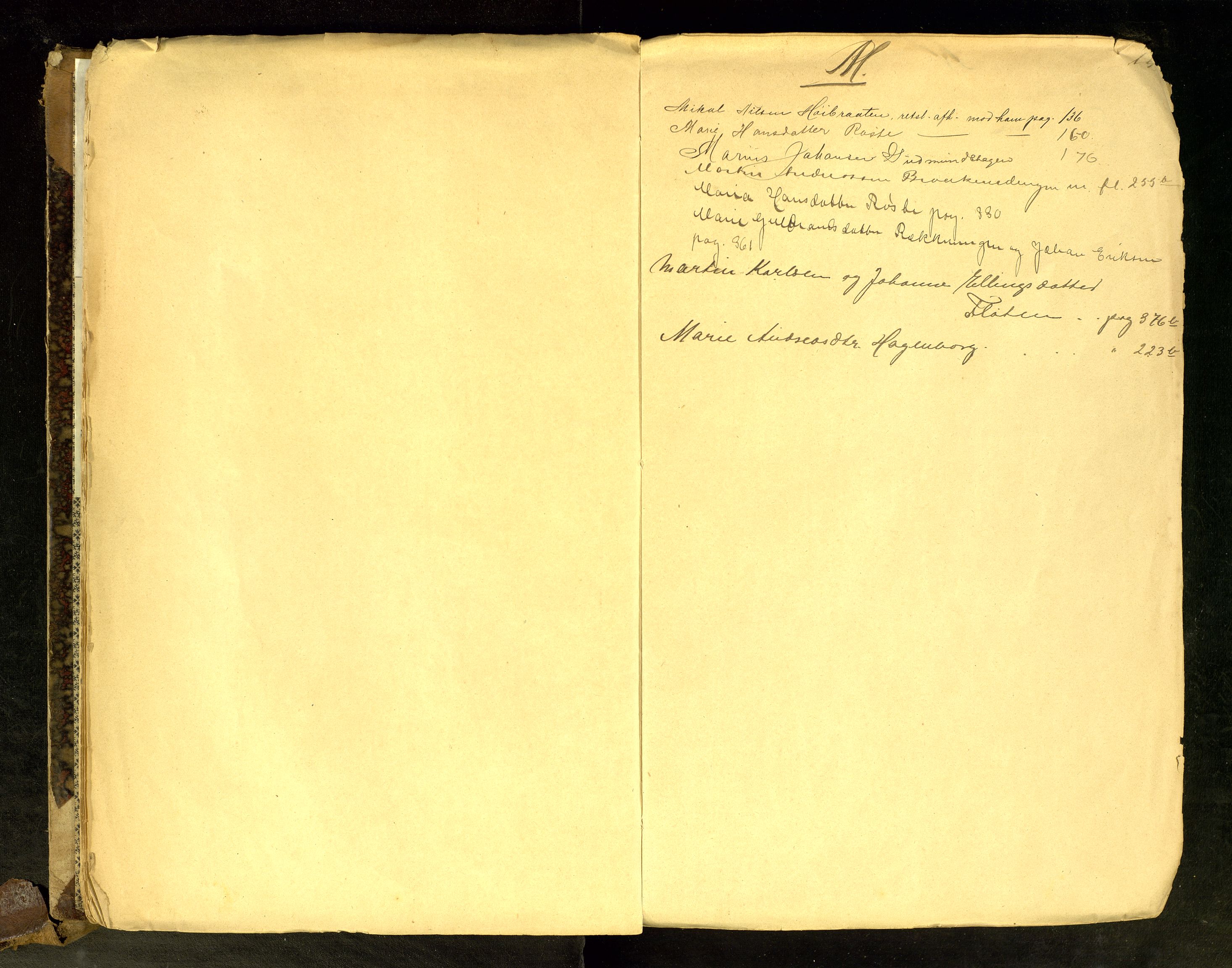 Hadeland og Land tingrett, AV/SAH-TING-010/G/Gc/L0029: Ekstrarettsprotokoll, 1895-1900