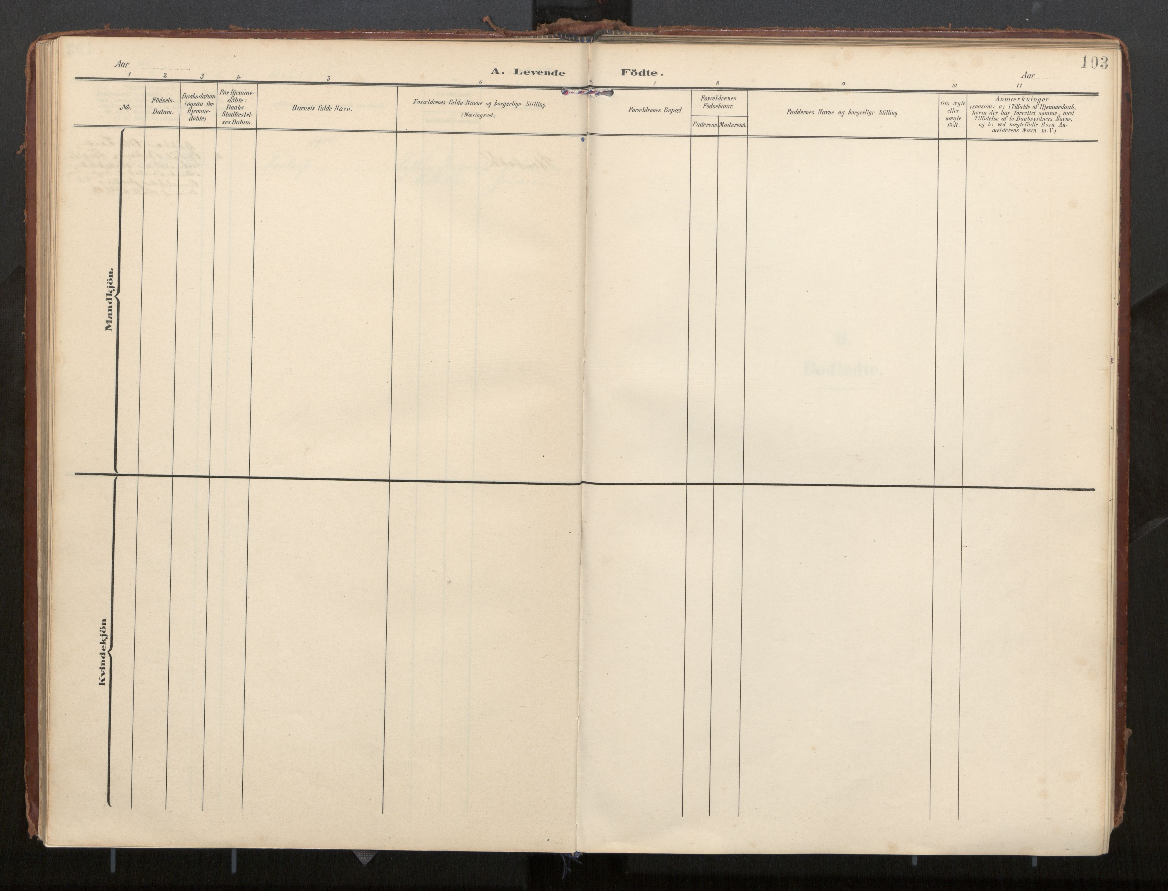 Ministerialprotokoller, klokkerbøker og fødselsregistre - Nordland, AV/SAT-A-1459/884/L1194: Parish register (official) no. 884A02, 1906-1937, p. 103