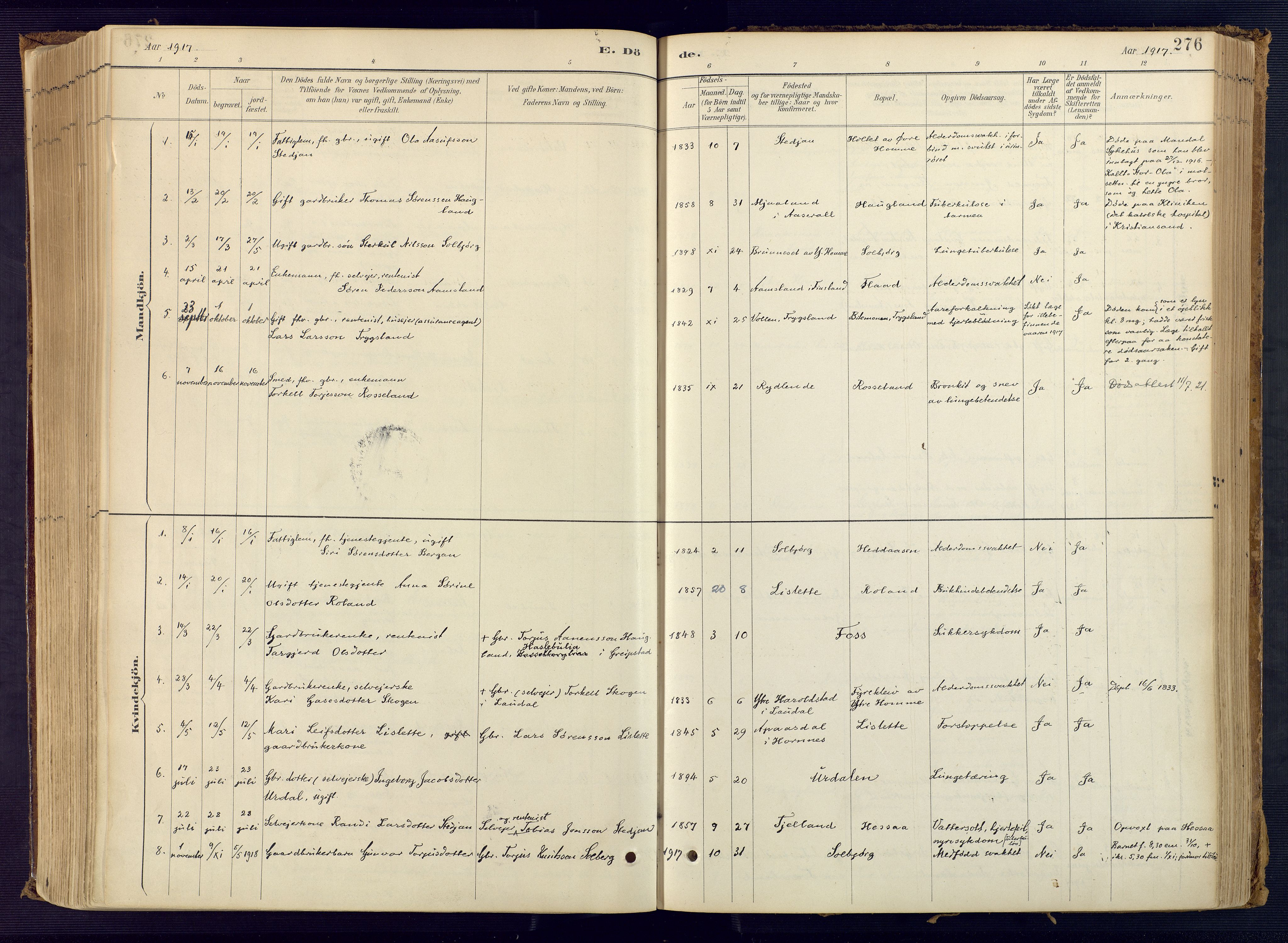 Bjelland sokneprestkontor, SAK/1111-0005/F/Fa/Faa/L0004: Parish register (official) no. A 4, 1887-1923, p. 276