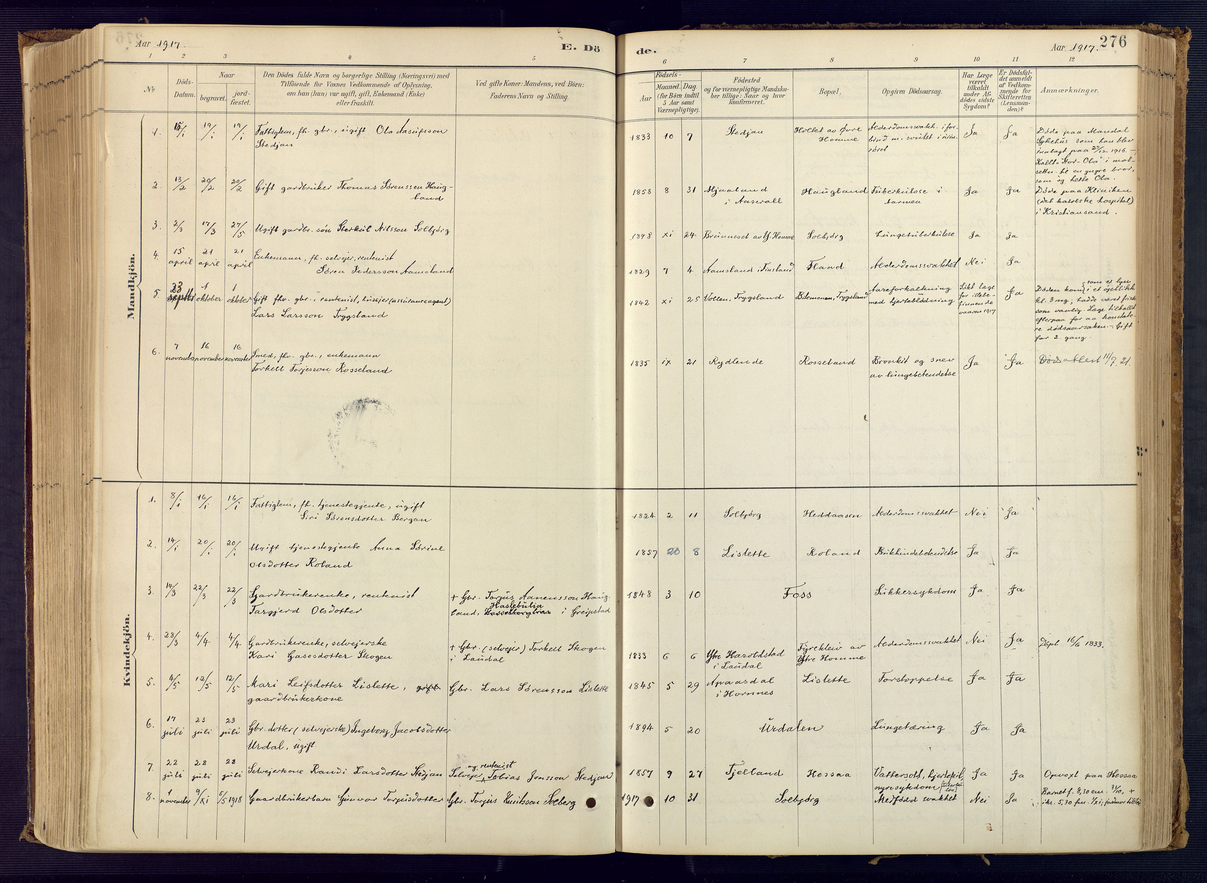 Bjelland sokneprestkontor, AV/SAK-1111-0005/F/Fa/Faa/L0004: Parish register (official) no. A 4, 1887-1923, p. 276