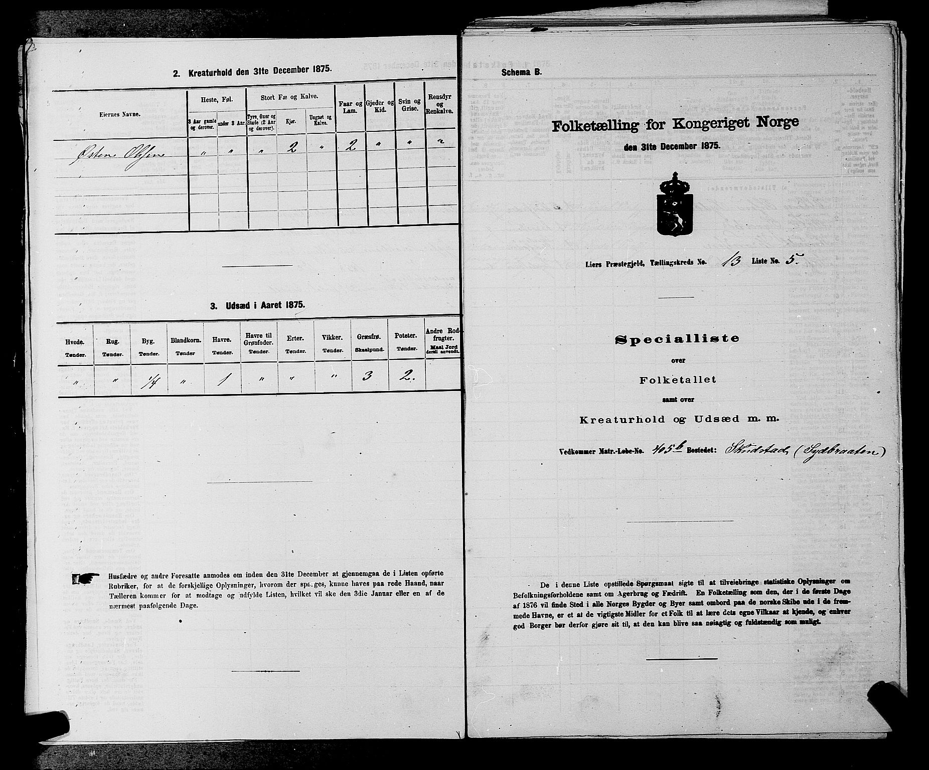 SAKO, 1875 census for 0626P Lier, 1875, p. 2303