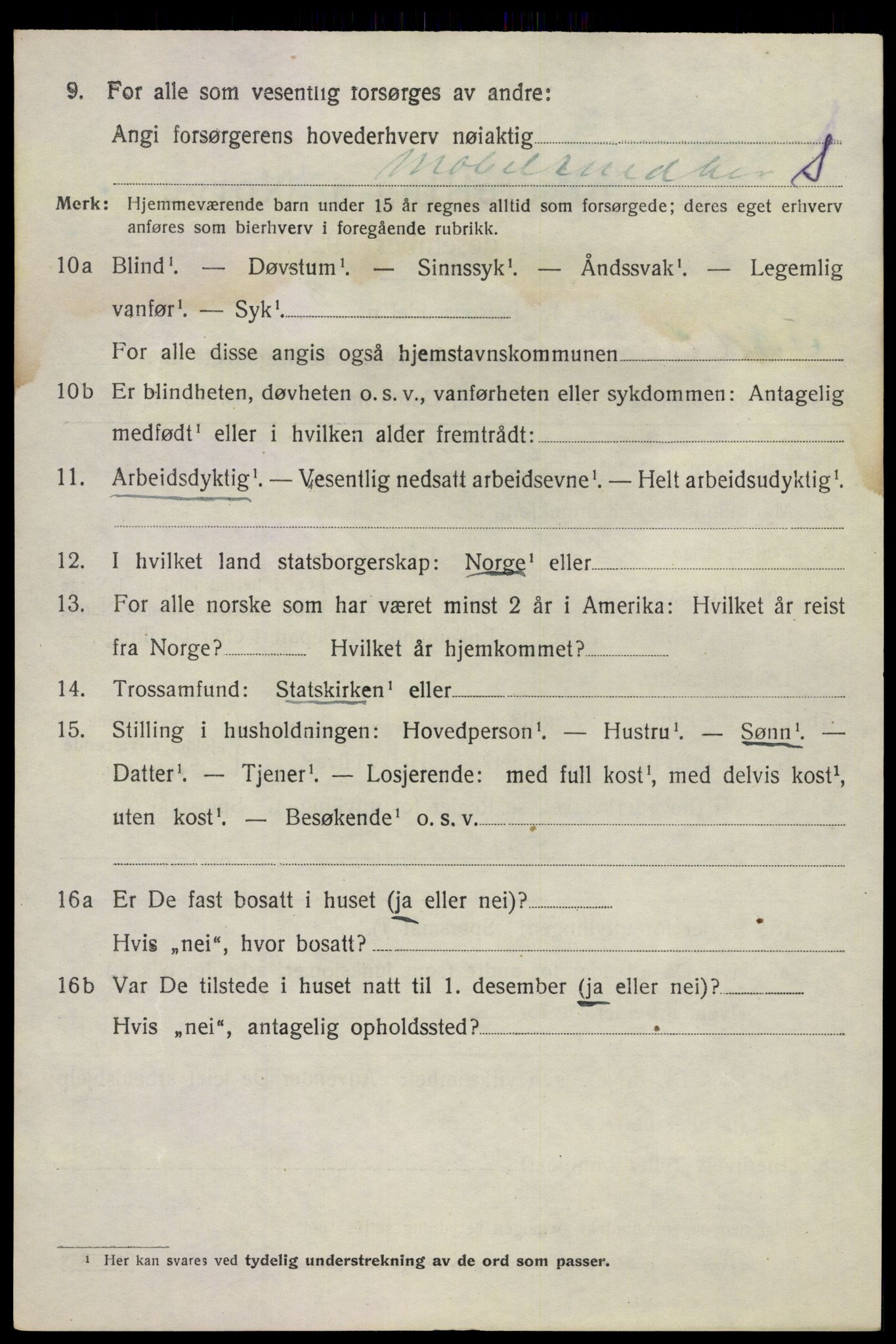 SAKO, 1920 census for Sandeherred, 1920, p. 10315