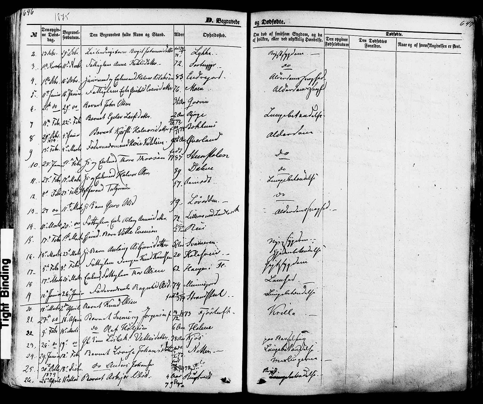 Seljord kirkebøker, SAKO/A-20/F/Fa/L0013: Parish register (official) no. I 13, 1866-1876, p. 646-647