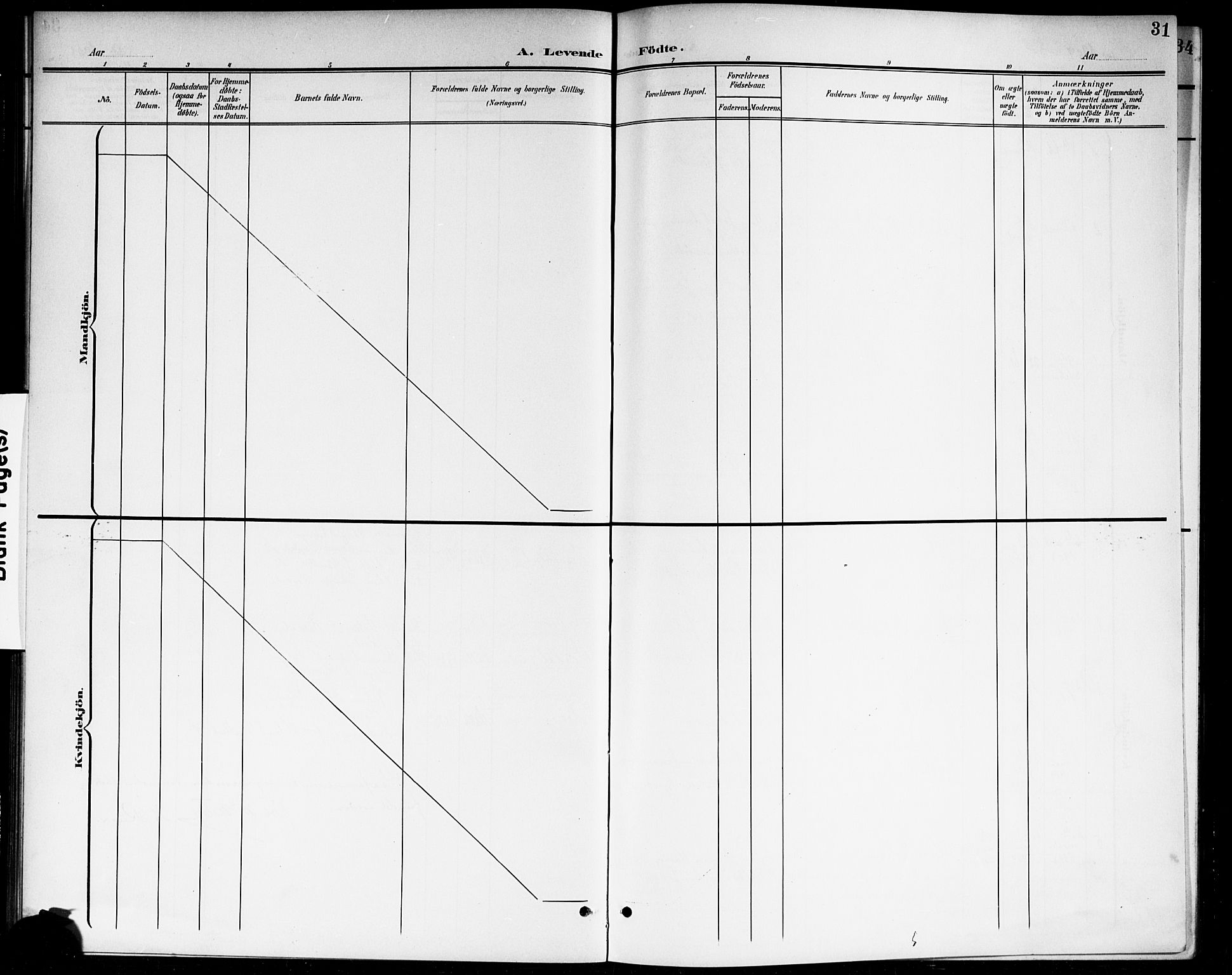 Våler prestekontor Kirkebøker, SAO/A-11083/G/Ga/L0004: Parish register (copy) no. I 4, 1901-1914, p. 31