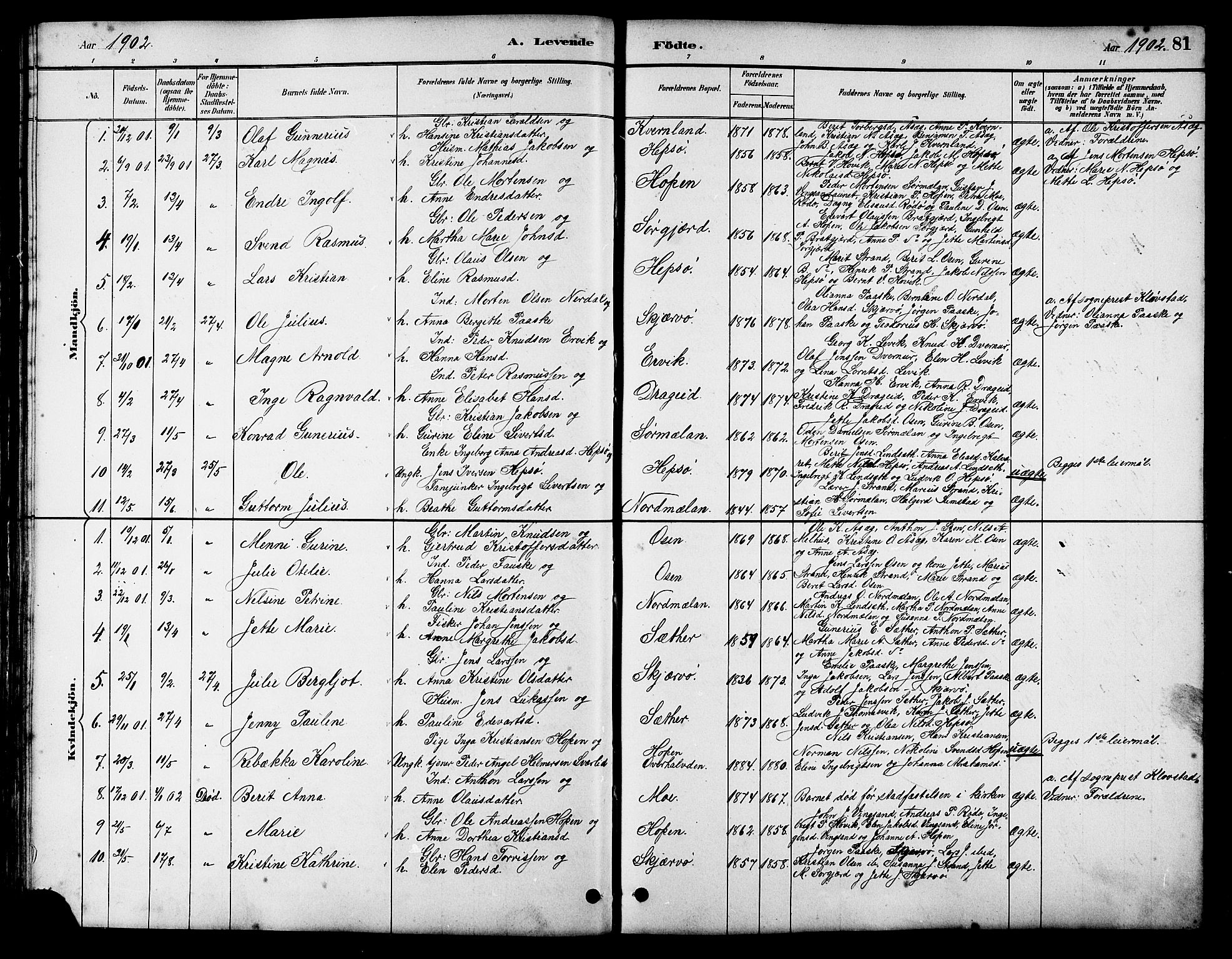 Ministerialprotokoller, klokkerbøker og fødselsregistre - Sør-Trøndelag, SAT/A-1456/658/L0726: Parish register (copy) no. 658C02, 1883-1908, p. 81