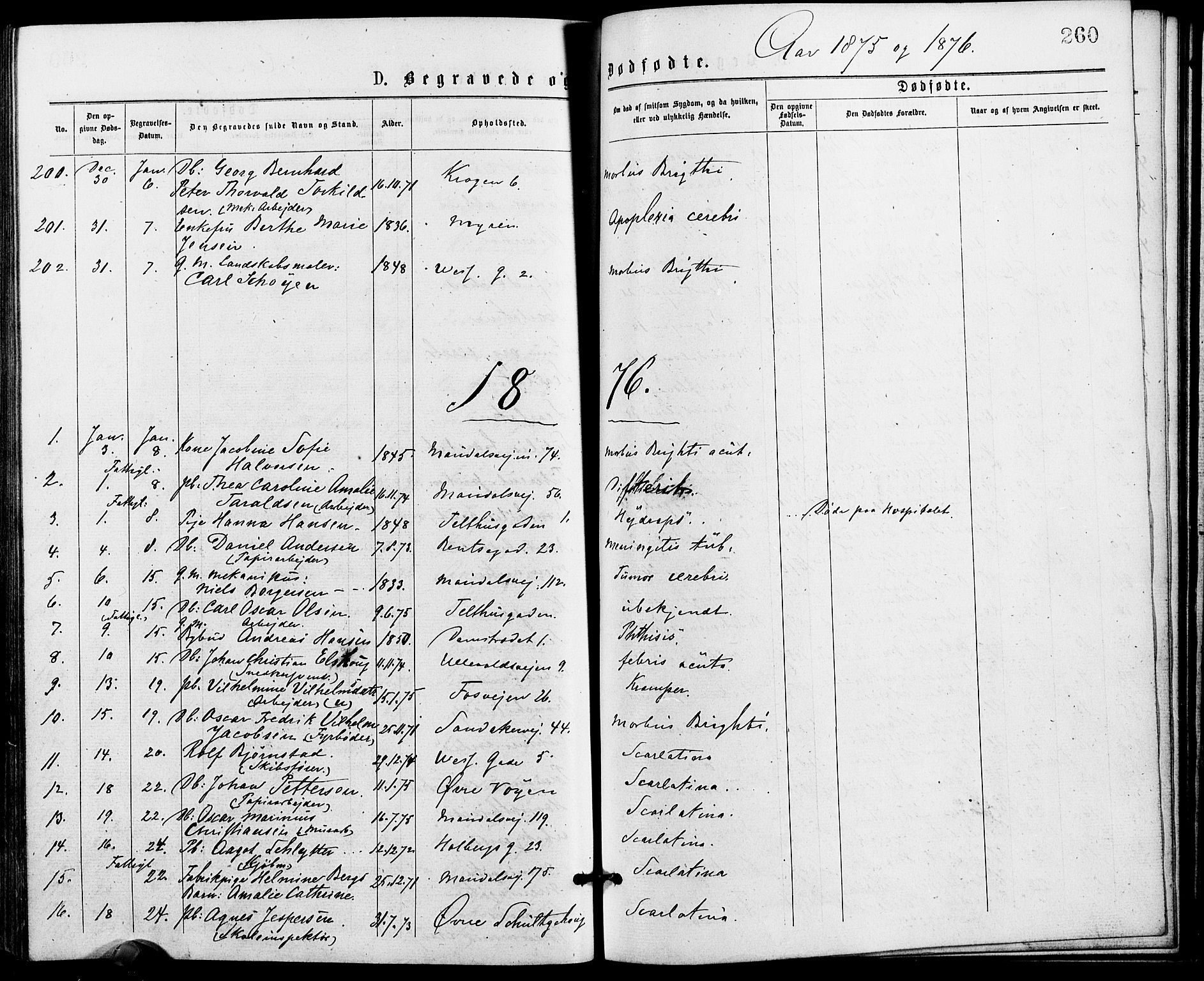 SAO, Gamle Aker prestekontor Kirkebøker, SAO/A-10617a/G/L0004Parish register (copy) no. 4, 1875-1879, p. 260