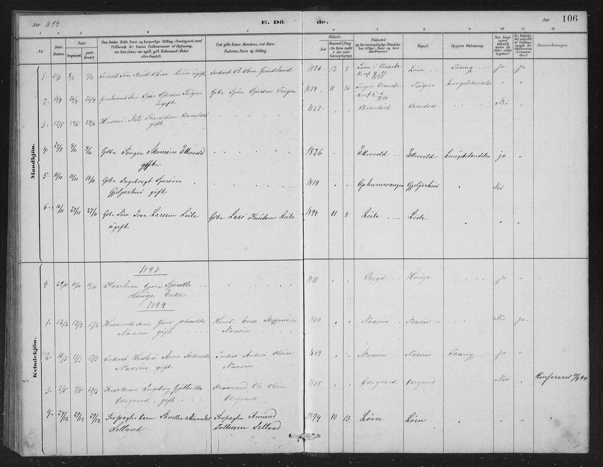 Vossestrand Sokneprestembete, AV/SAB-A-79101/H/Hab: Parish register (copy) no. A 2, 1880-1902, p. 106