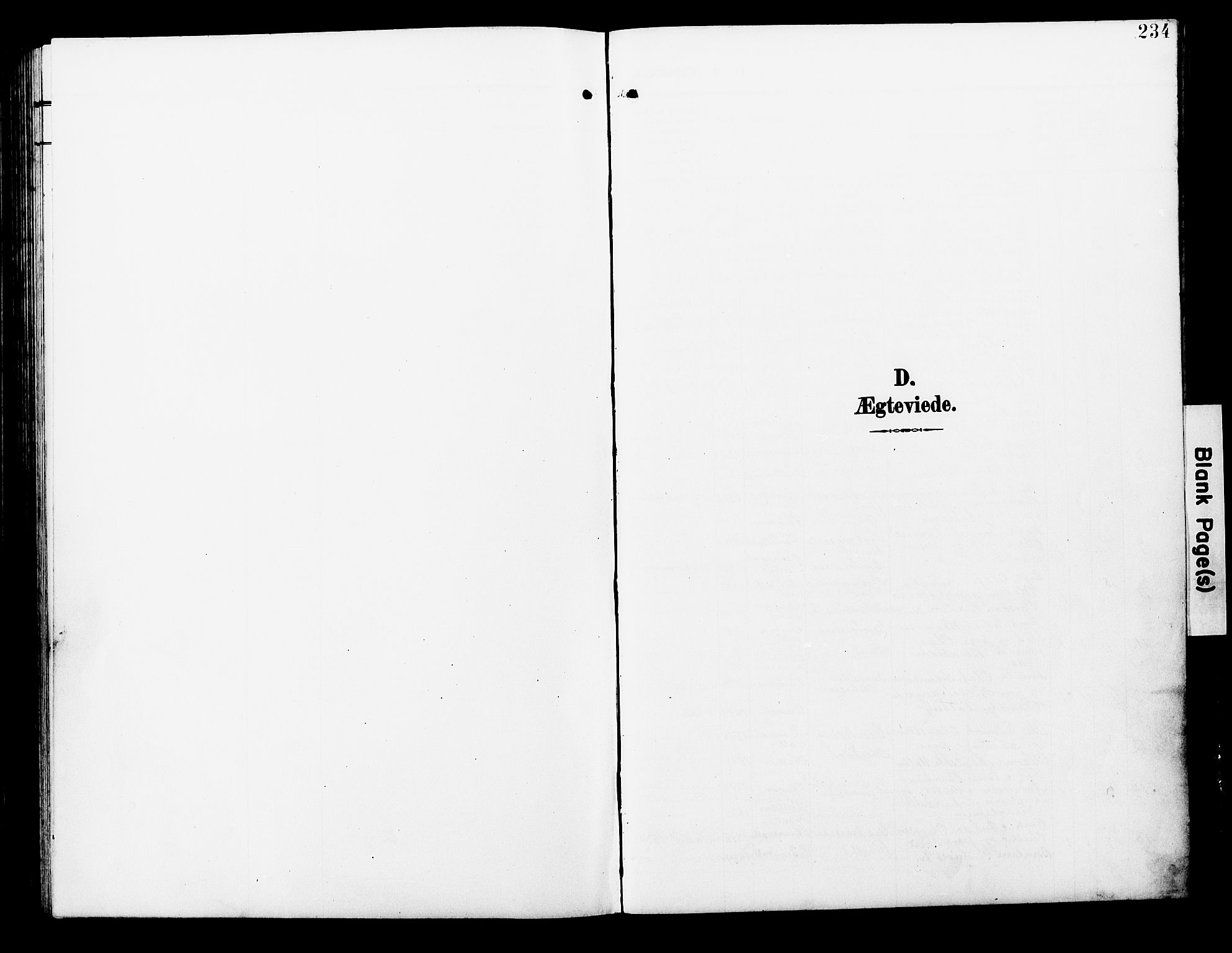 Ministerialprotokoller, klokkerbøker og fødselsregistre - Nord-Trøndelag, SAT/A-1458/723/L0258: Parish register (copy) no. 723C06, 1908-1927, p. 234