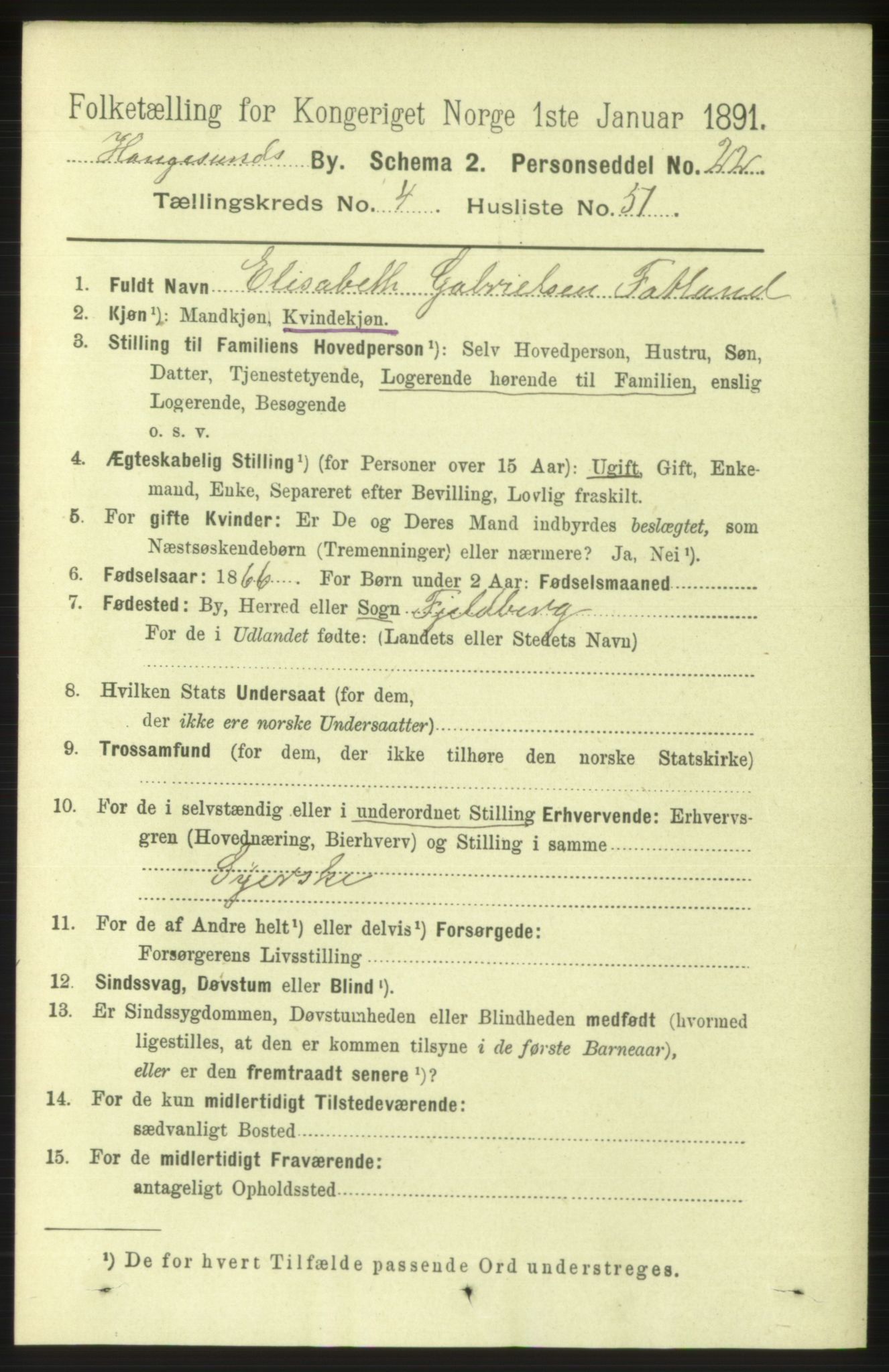 RA, 1891 census for 1106 Haugesund, 1891, p. 1920