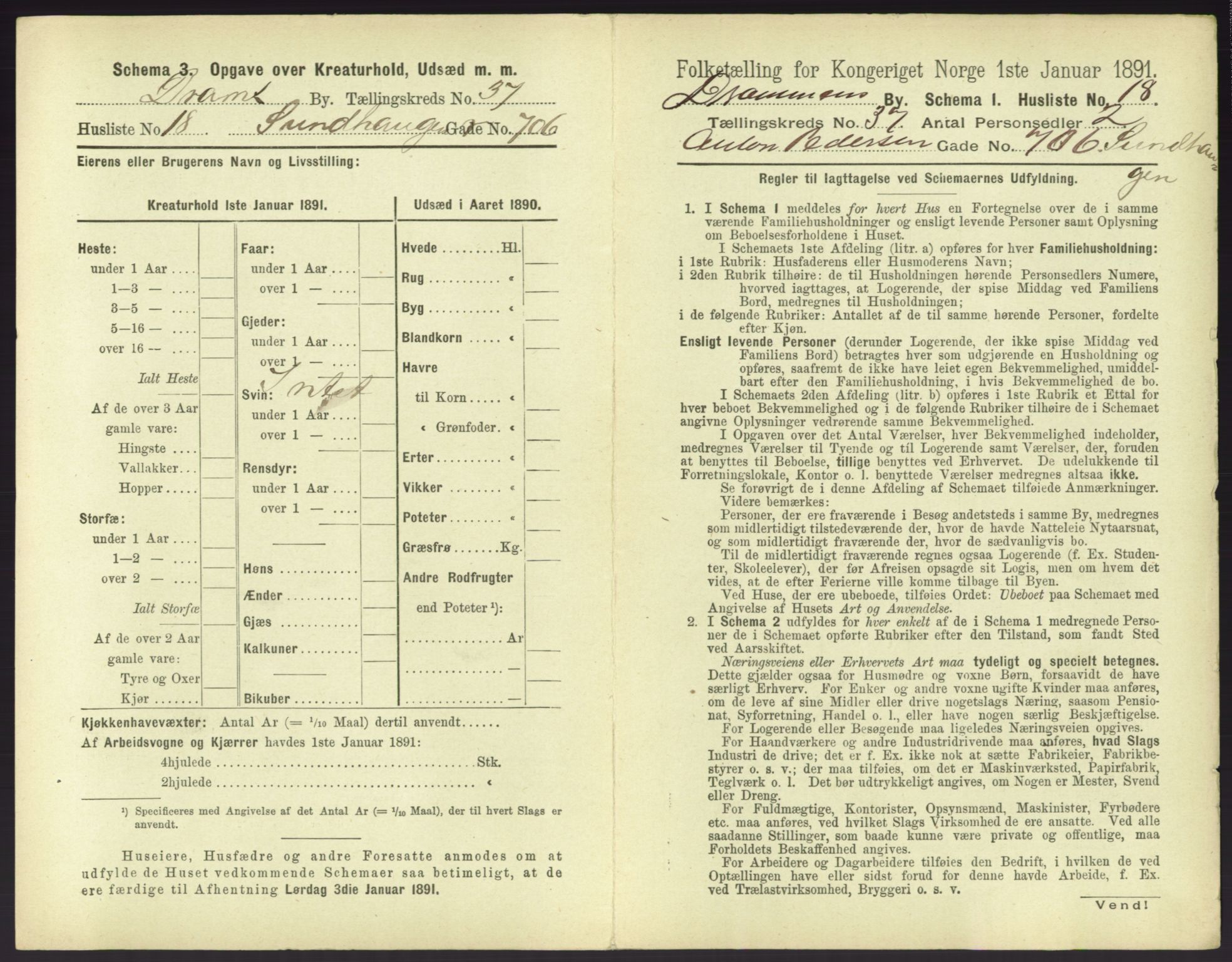 RA, 1891 census for 0602 Drammen, 1891, p. 3395