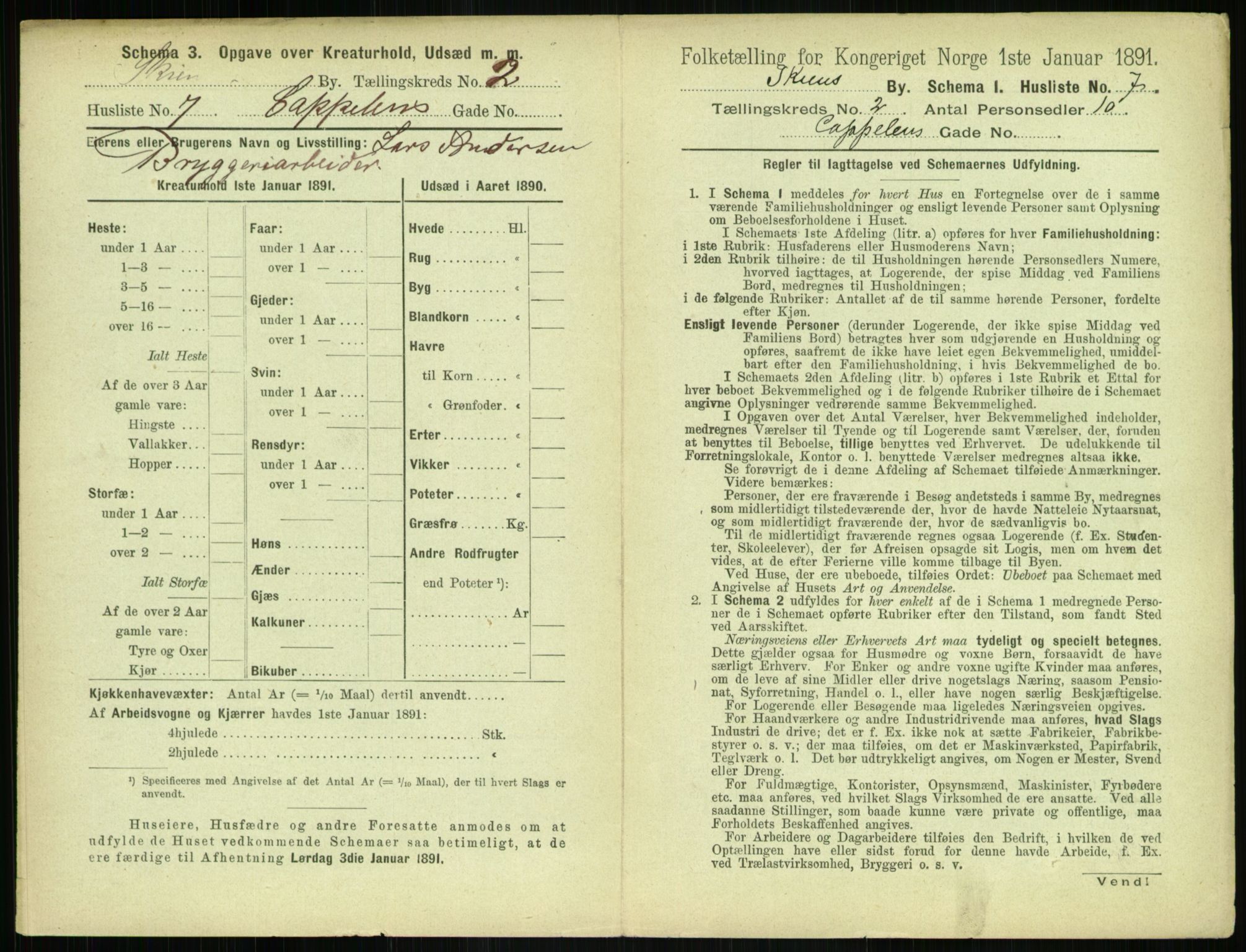 RA, 1891 census for 0806 Skien, 1891, p. 164