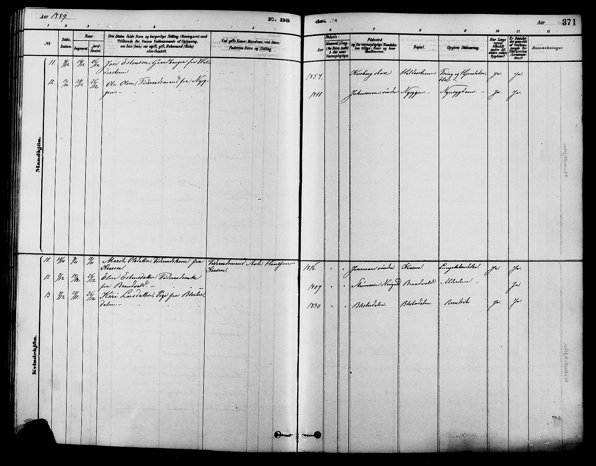 Alvdal prestekontor, SAH/PREST-060/H/Ha/Hab/L0003: Parish register (copy) no. 3, 1878-1907, p. 371