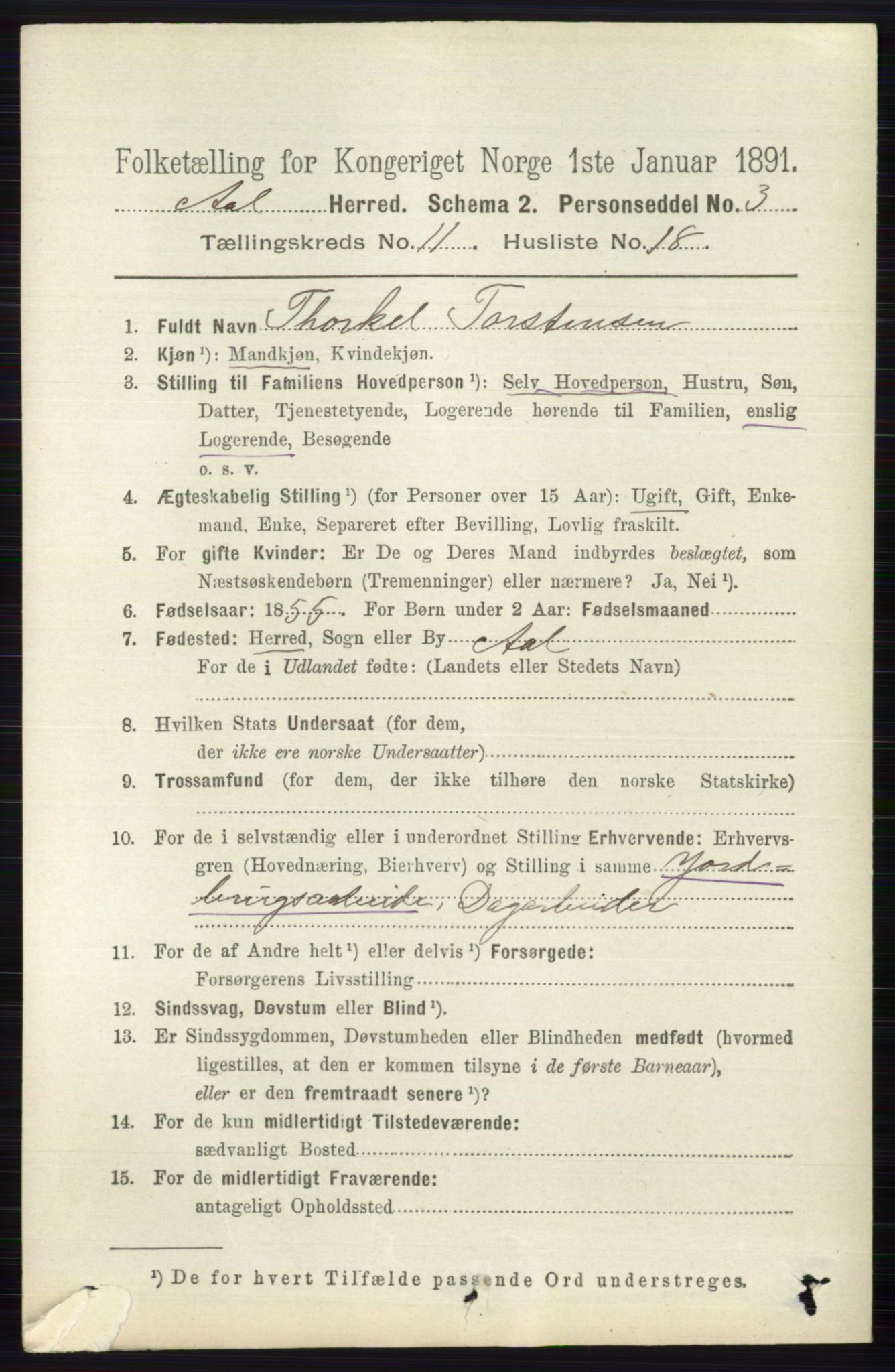 RA, 1891 census for 0619 Ål, 1891, p. 2967