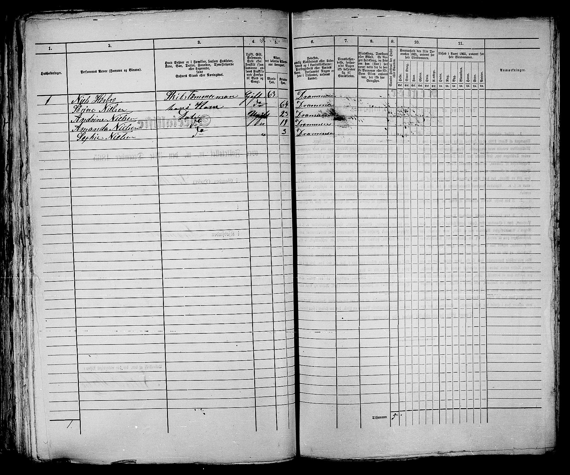 RA, 1865 census for Strømsø in Drammen, 1865, p. 162