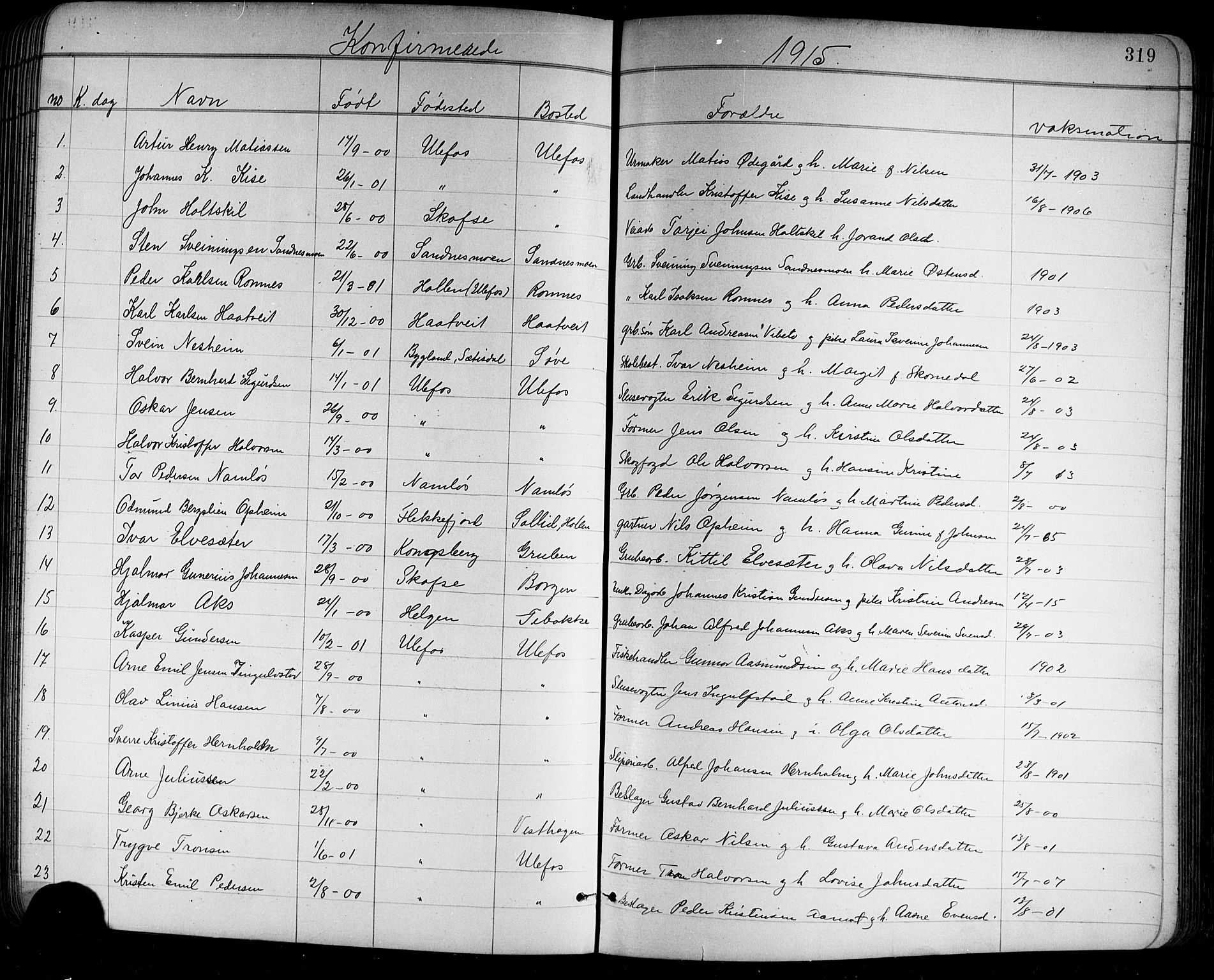 Holla kirkebøker, SAKO/A-272/G/Ga/L0005: Parish register (copy) no. I 5, 1891-1917, p. 319