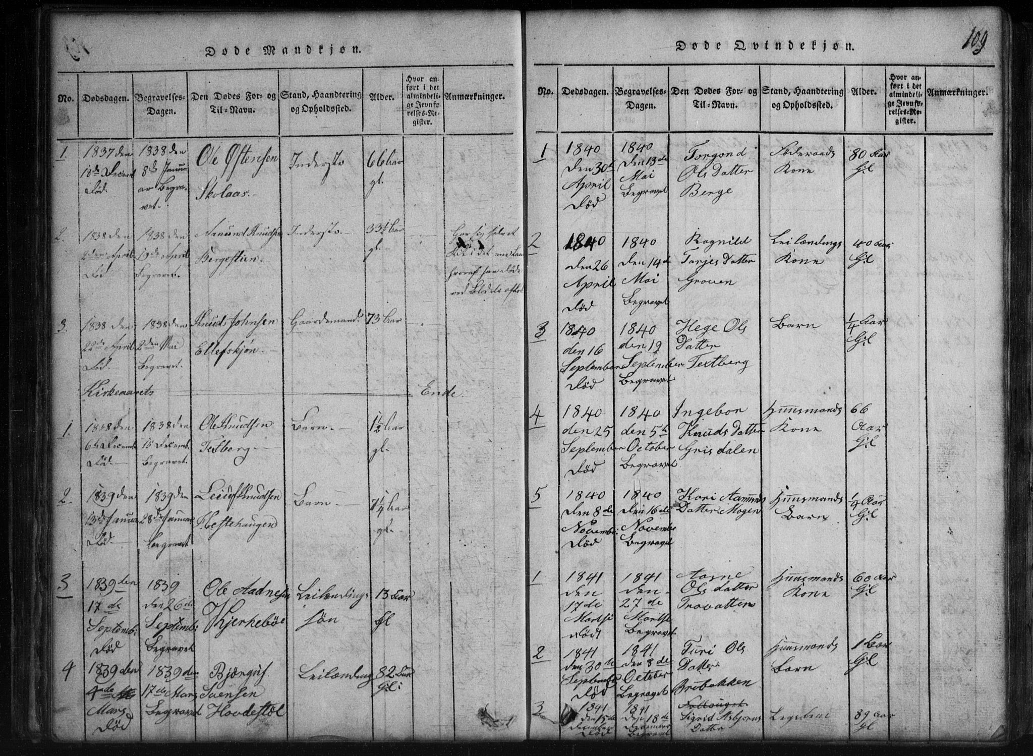 Rauland kirkebøker, SAKO/A-292/G/Gb/L0001: Parish register (copy) no. II 1, 1815-1886, p. 109