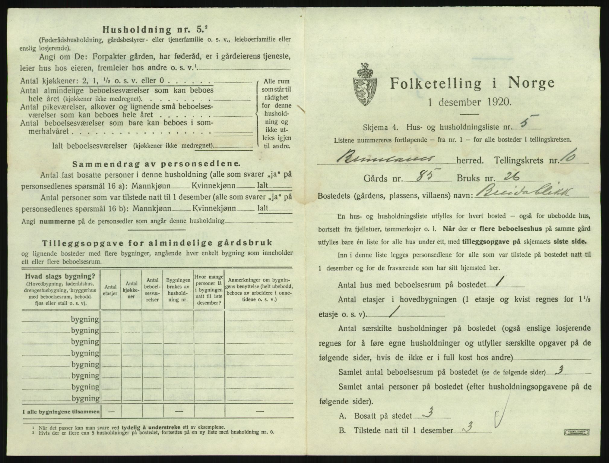 SAKO, 1920 census for Brunlanes, 1920, p. 1255