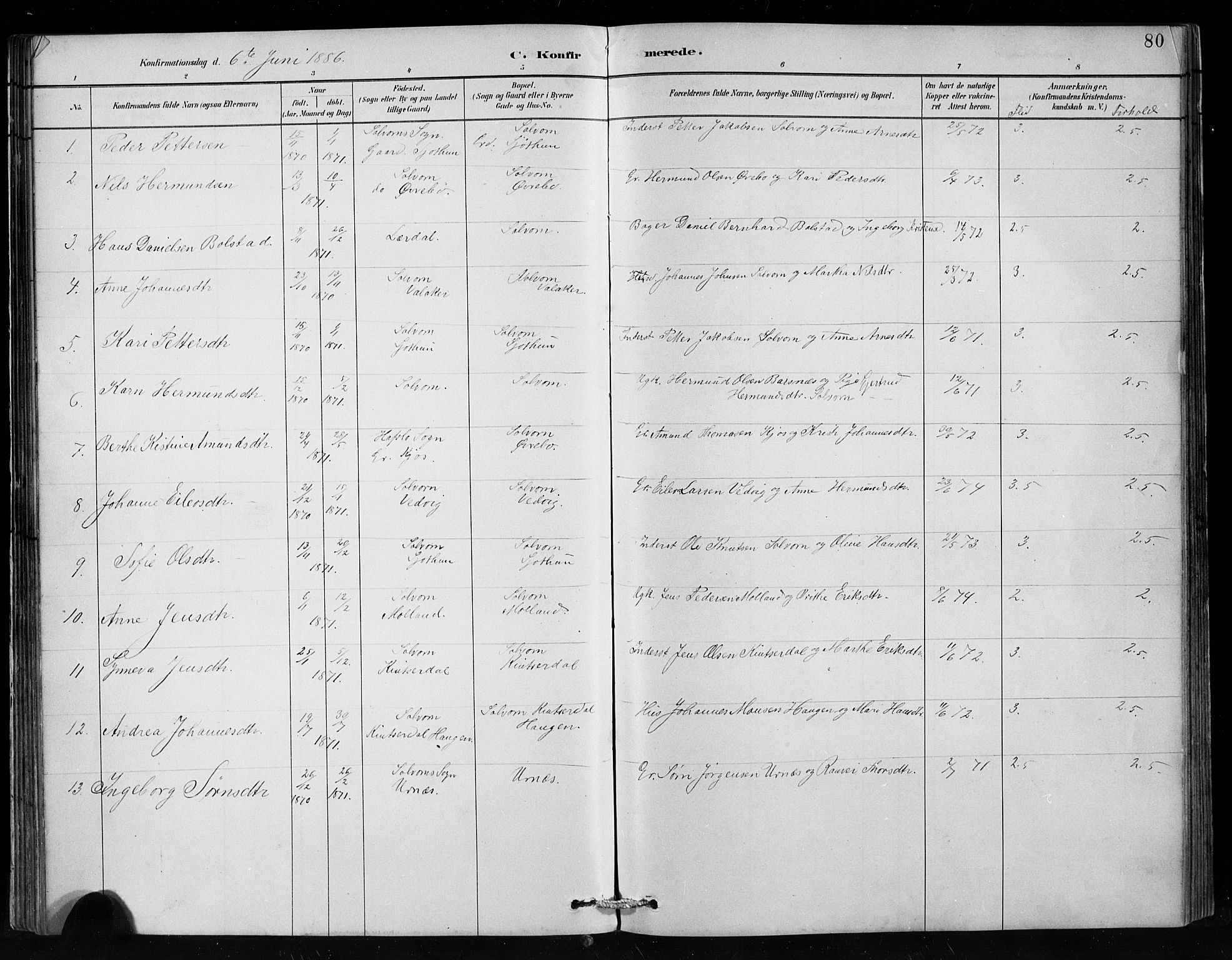 Hafslo sokneprestembete, SAB/A-80301/H/Hab/Habc/L0001: Parish register (copy) no. C 1, 1882-1908, p. 80